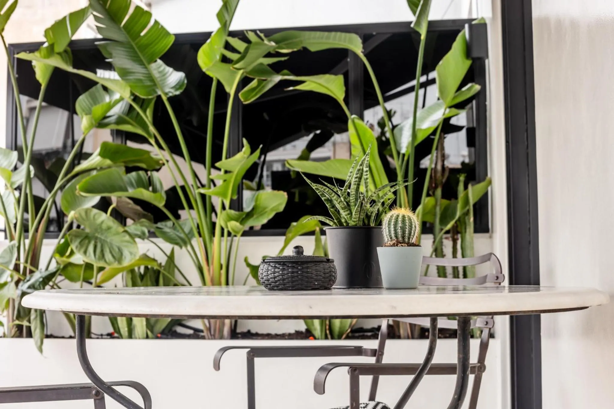 Balcony/Terrace in Jenny's Home Acropolis