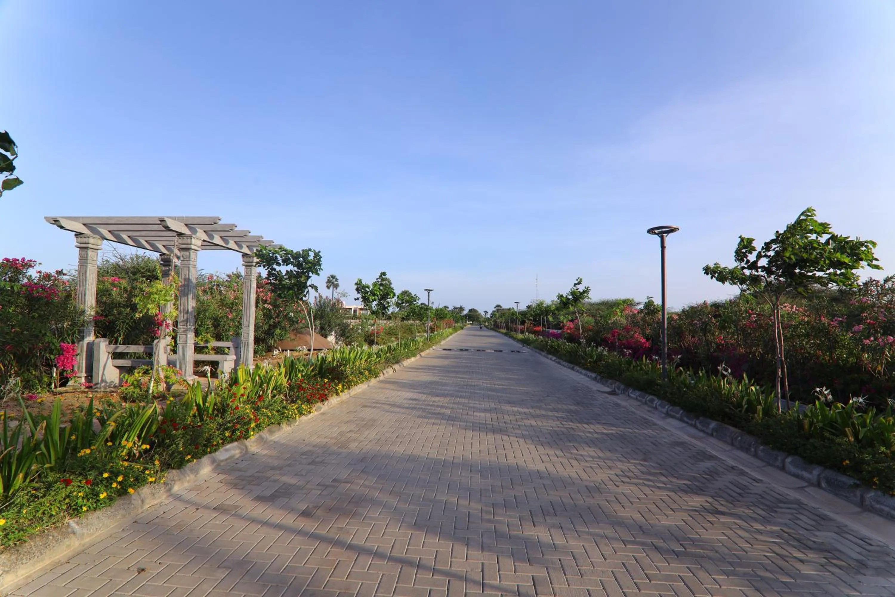 Garden in LA PALMERA