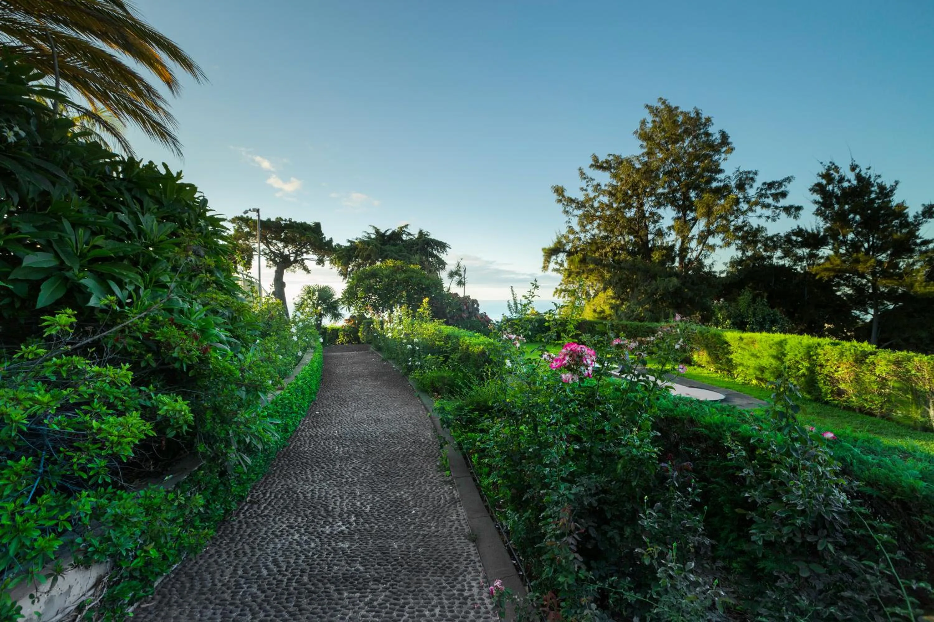 Garden in Quinta Funchal Gardens - Adults Only