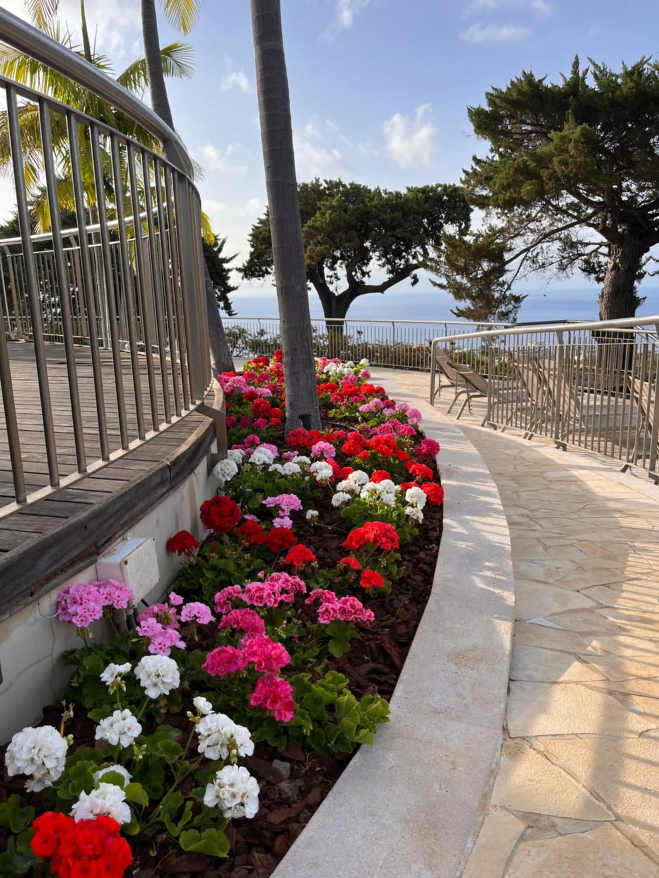 Garden in Quinta Funchal Gardens - Adults Only