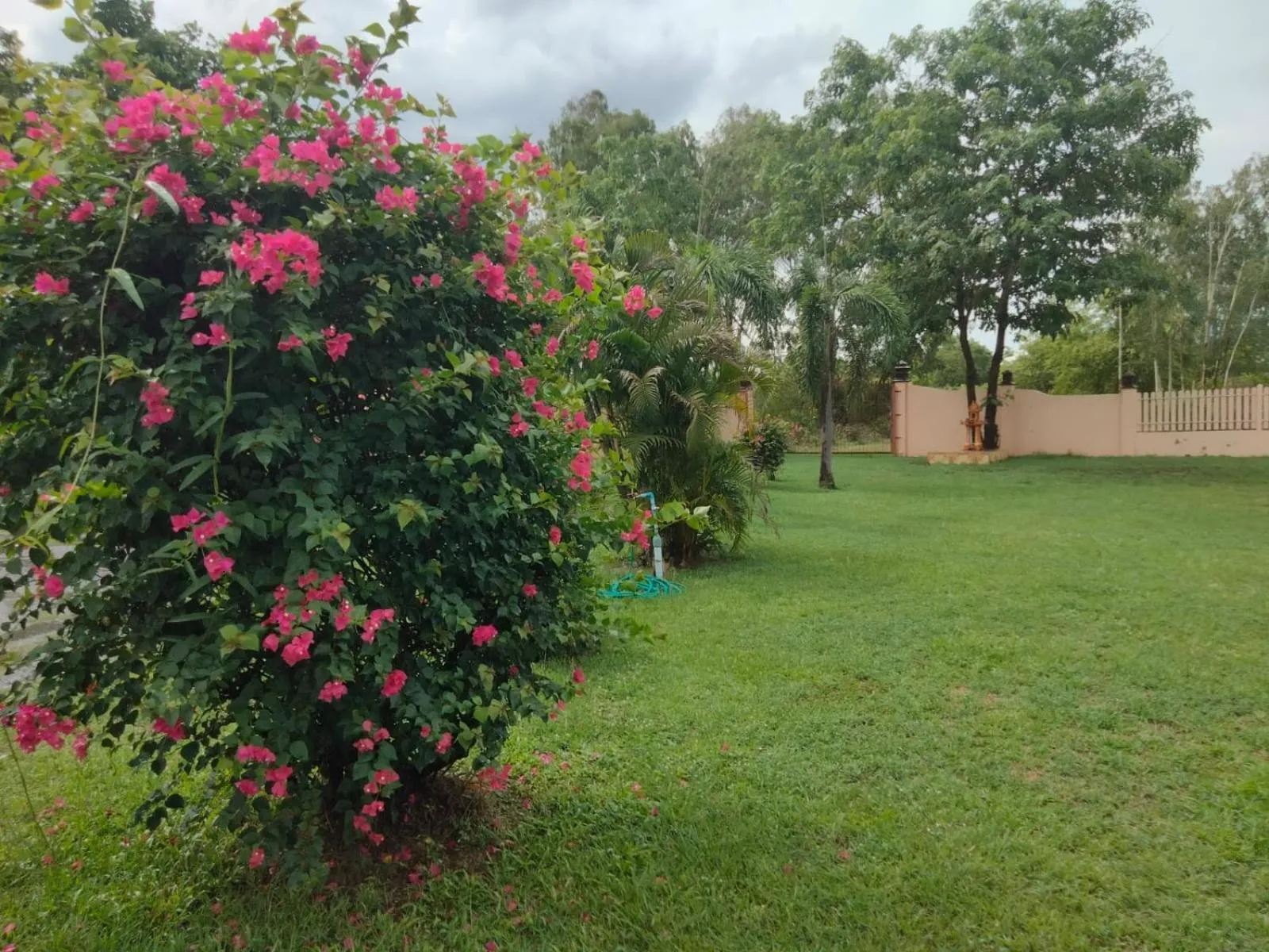 Area and facilities in Changthai Comfort Guest House