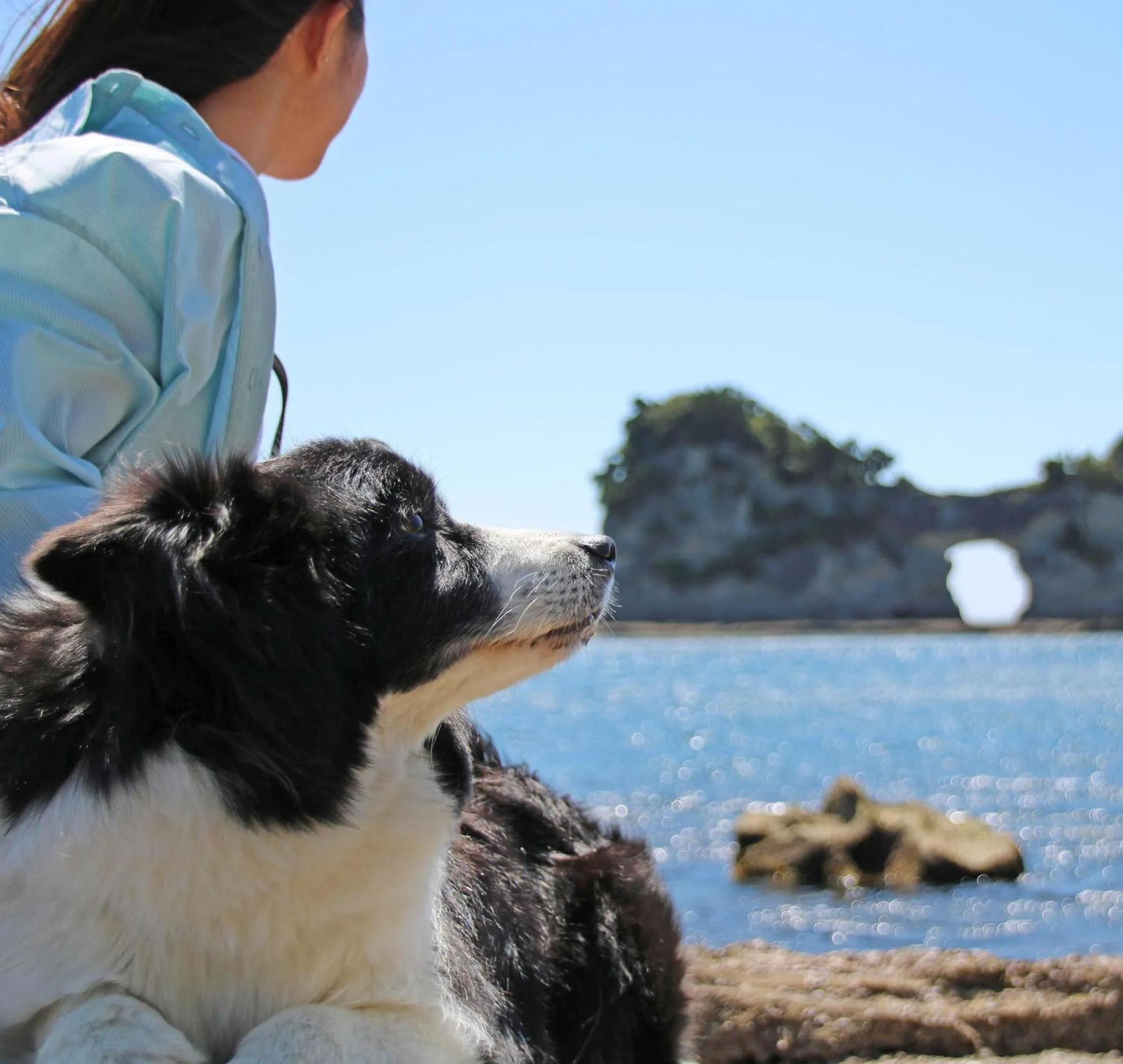 Nearby landmark in Nanki Shirahama Wan Wan Paradise Hotel