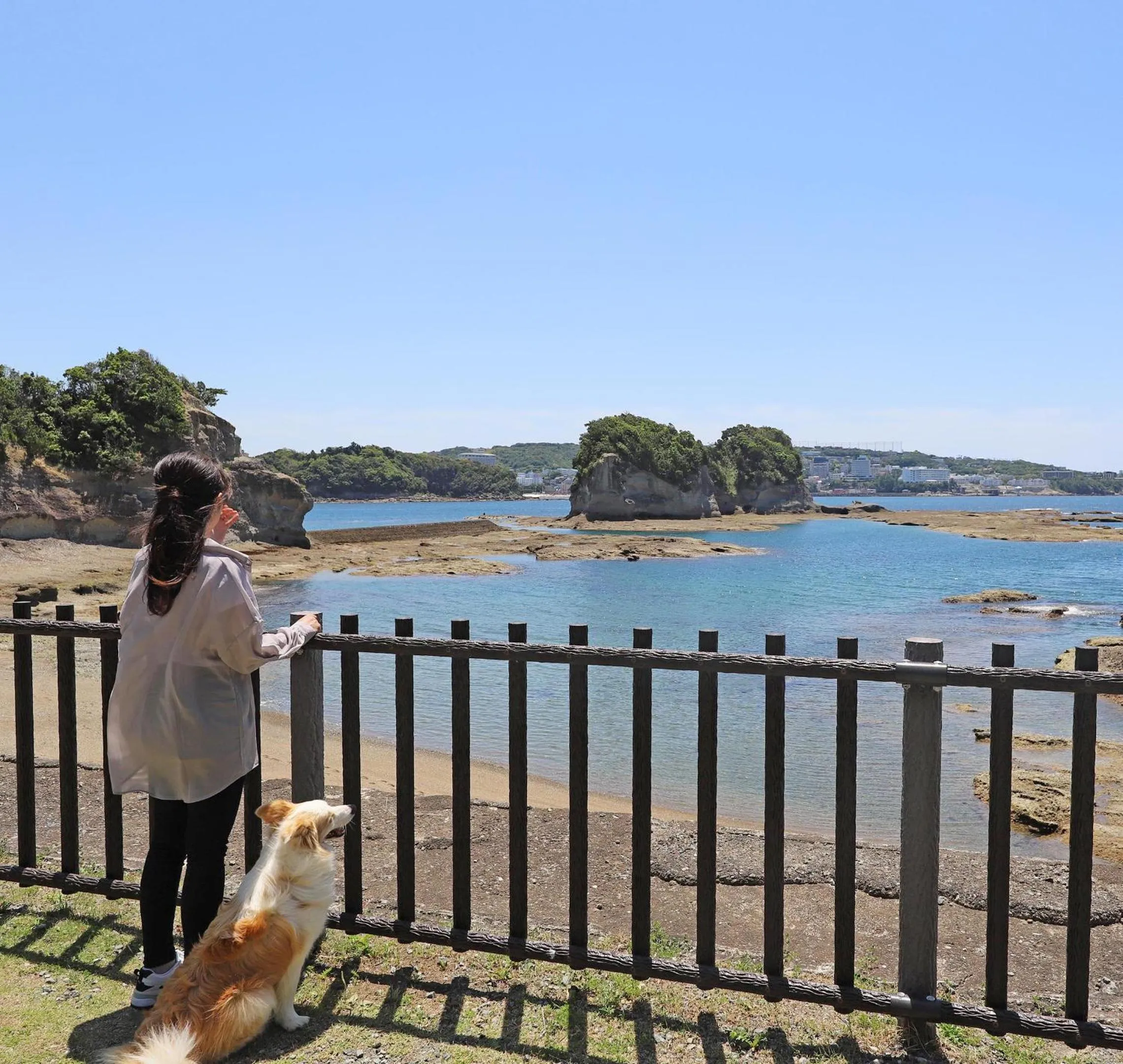 Nearby landmark in Nanki Shirahama Wan Wan Paradise Hotel