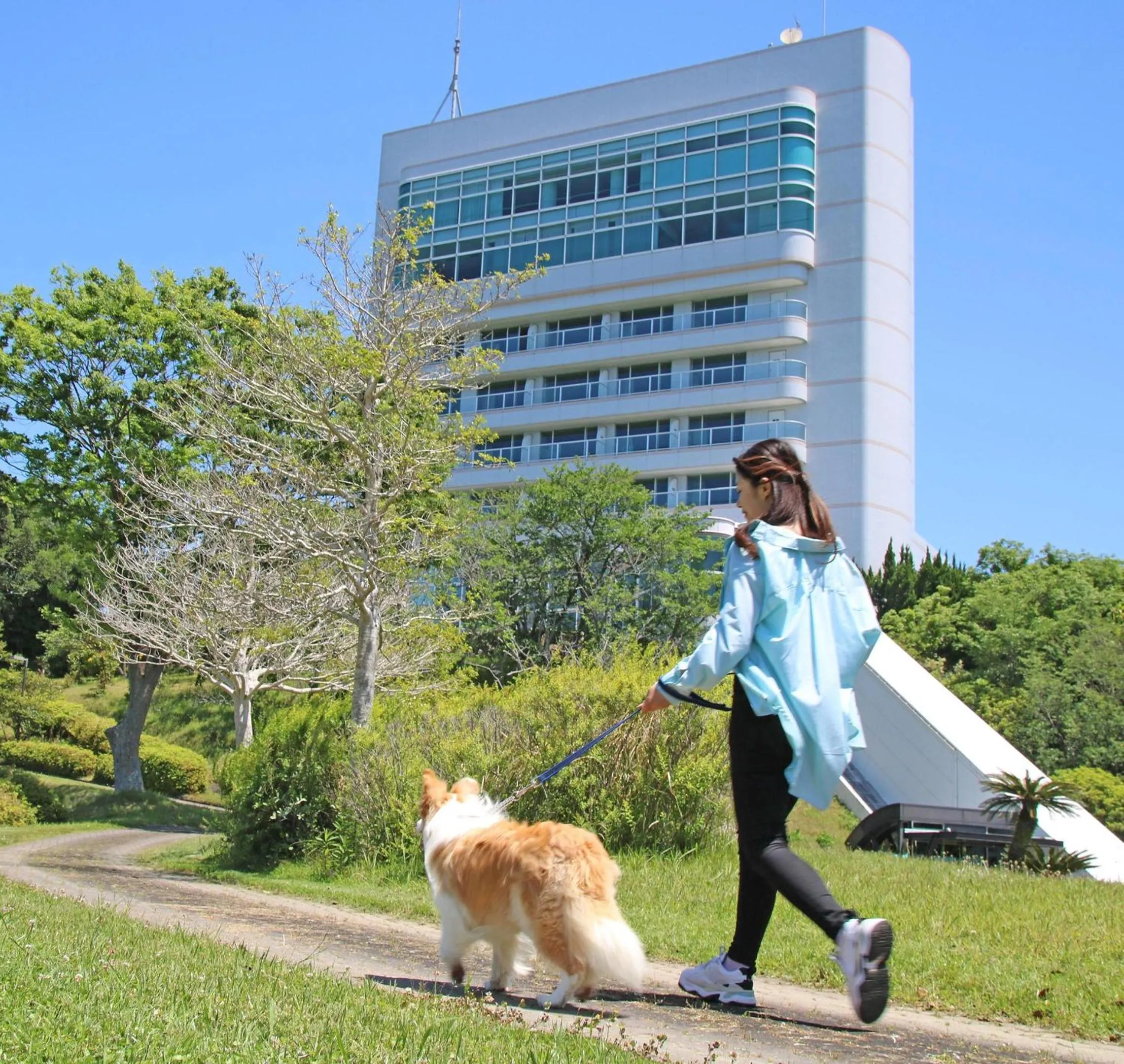 Property building in Nanki Shirahama Wan Wan Paradise Hotel