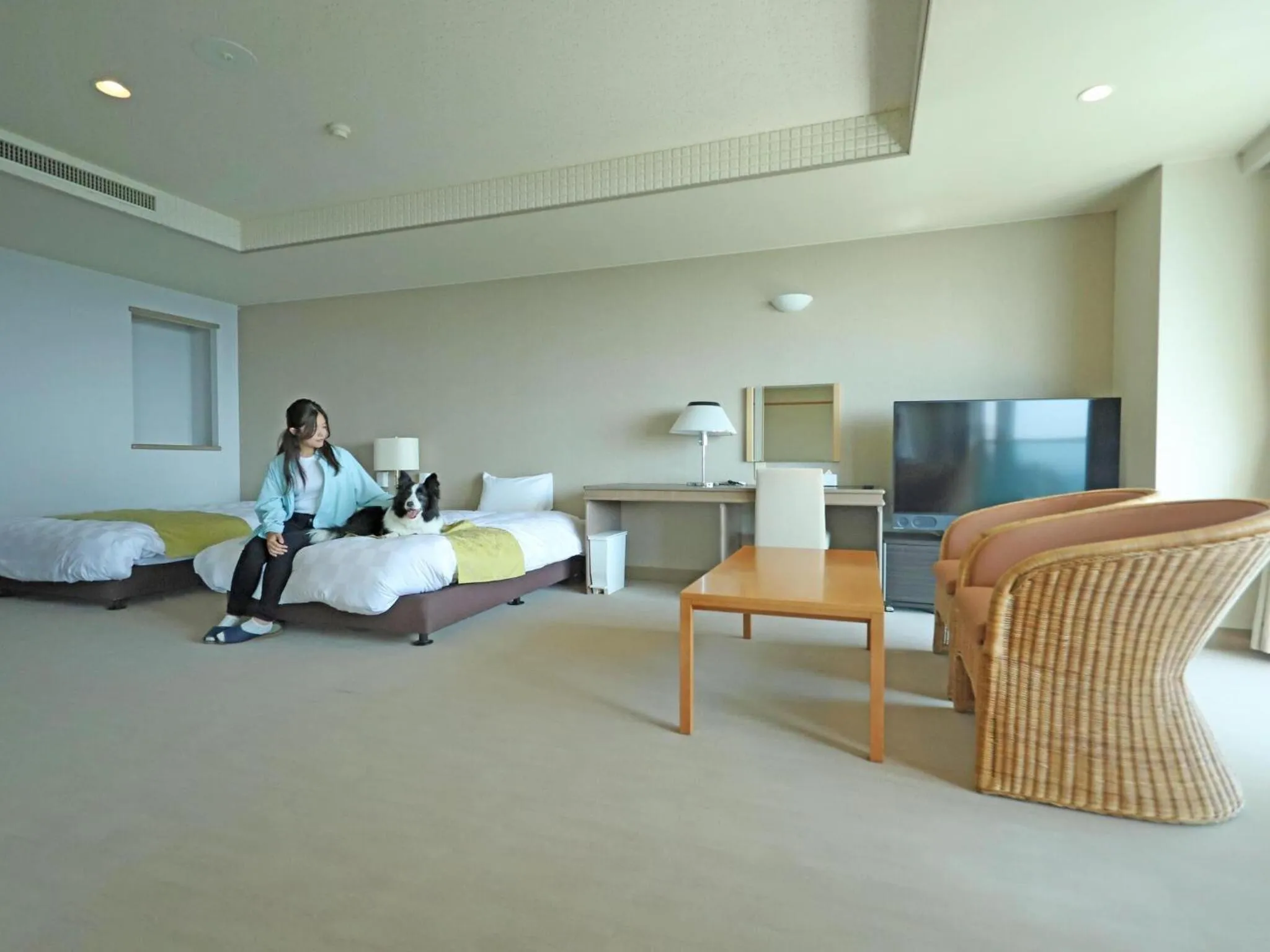 Photo of the whole room in Nanki Shirahama Wan Wan Paradise Hotel