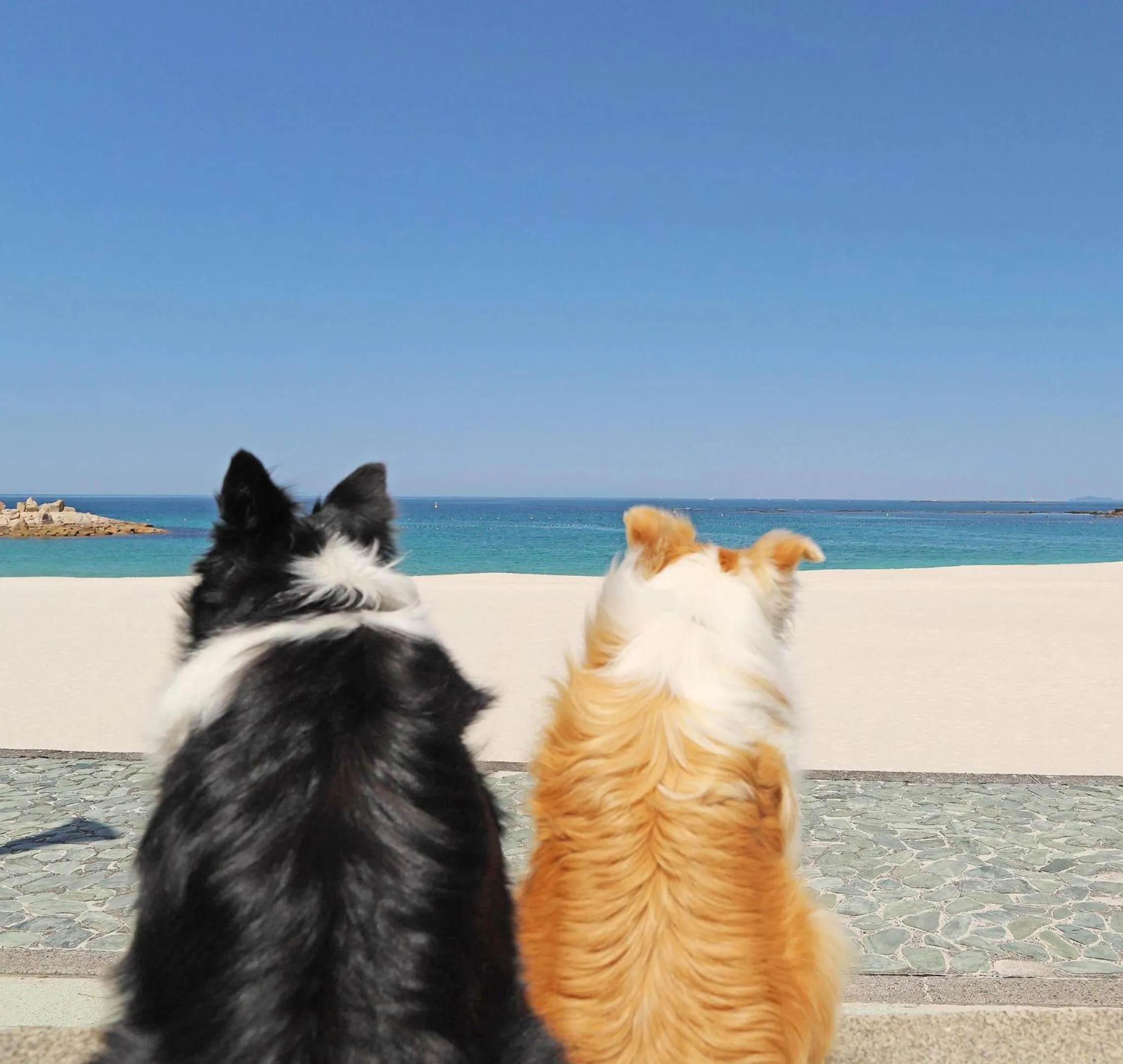 Nearby landmark in Nanki Shirahama Wan Wan Paradise Hotel