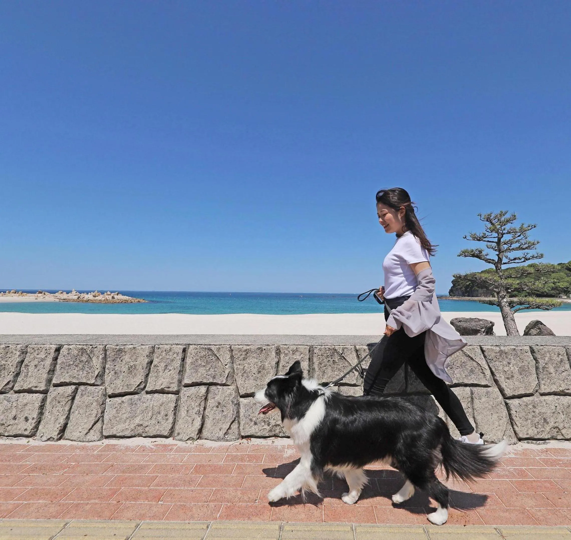 Nearby landmark in Nanki Shirahama Wan Wan Paradise Hotel