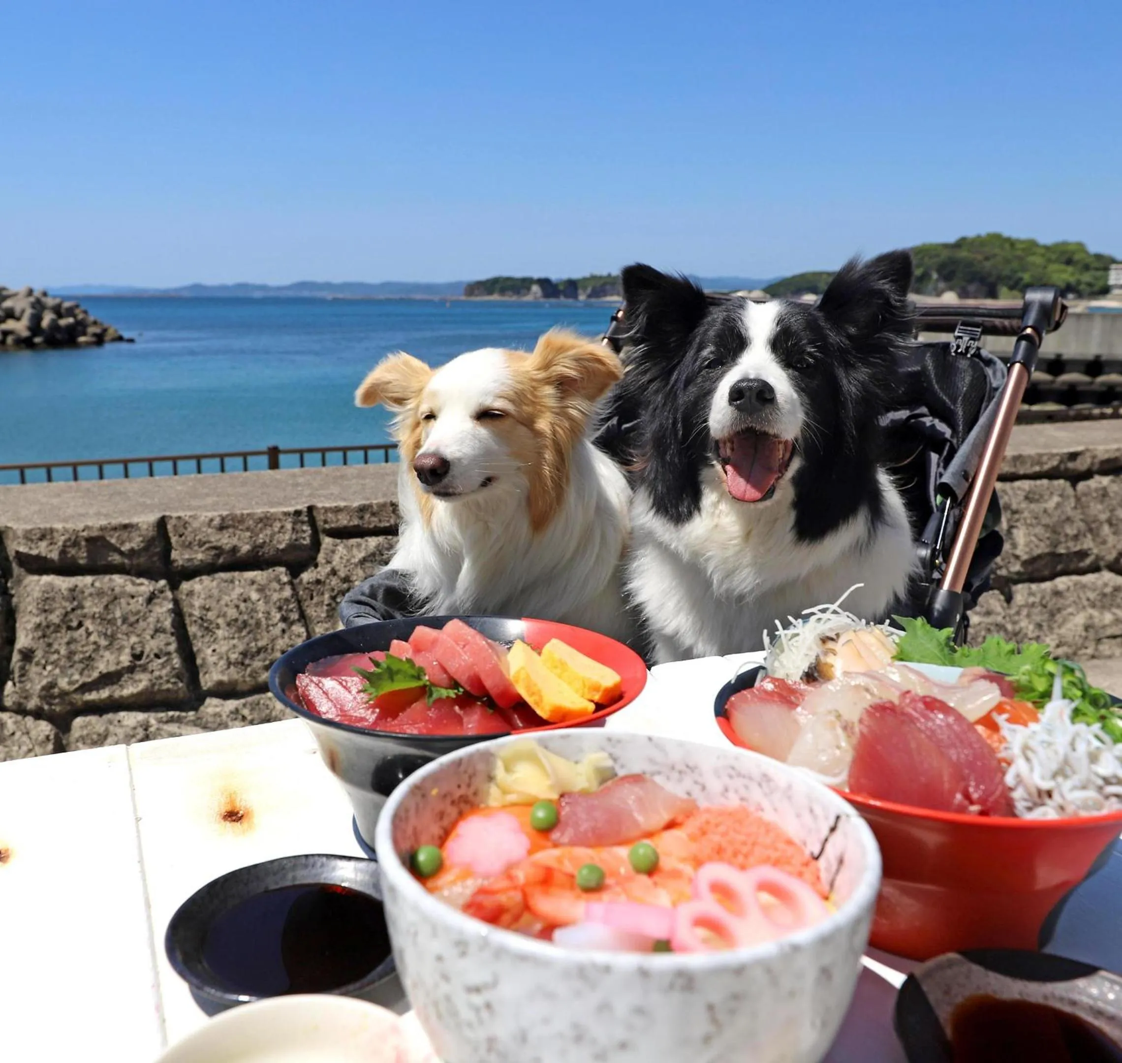 Nearby landmark in Nanki Shirahama Wan Wan Paradise Hotel