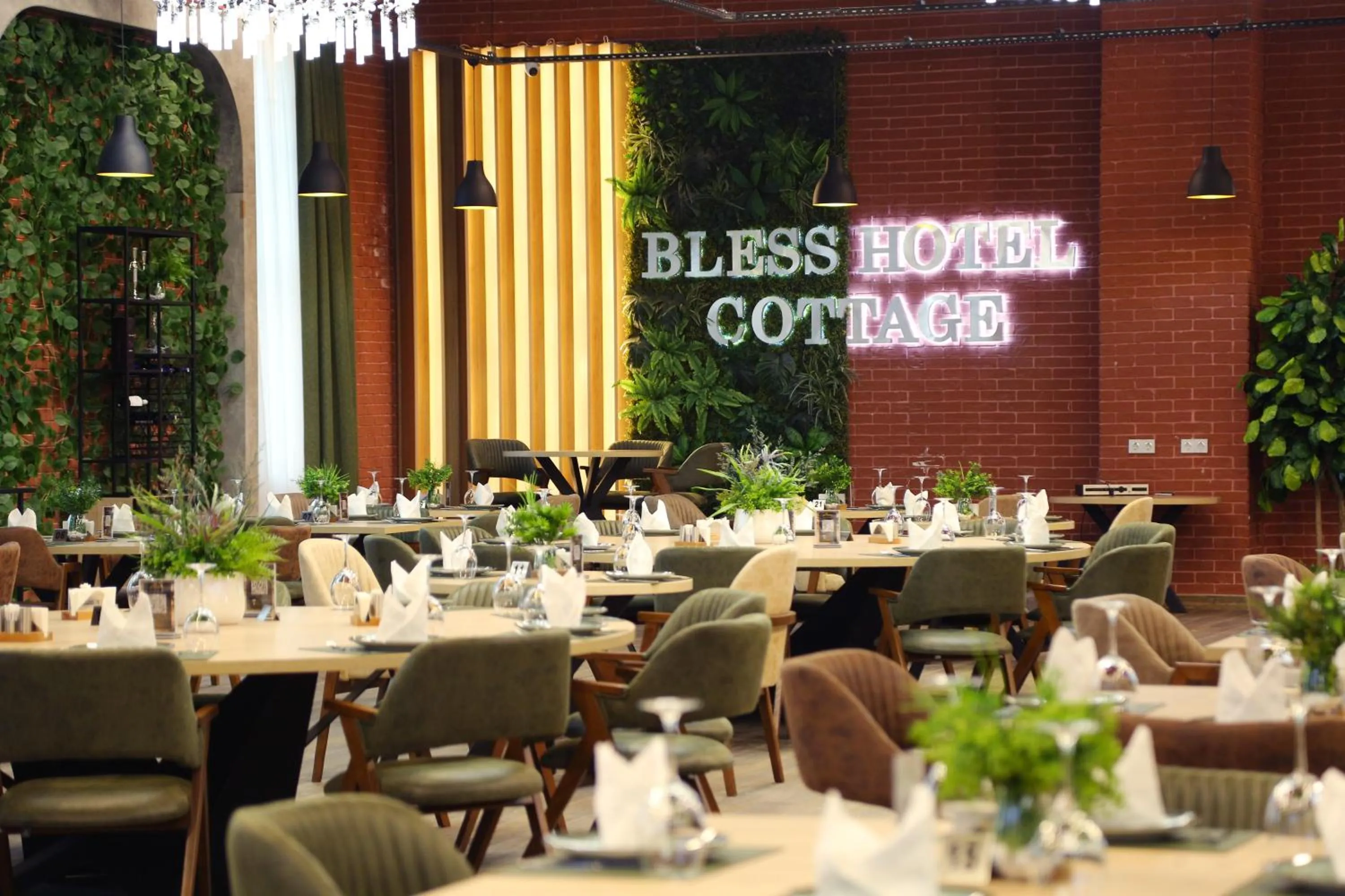 Restaurant/places to eat in Gabala Bless Hotel Cottage