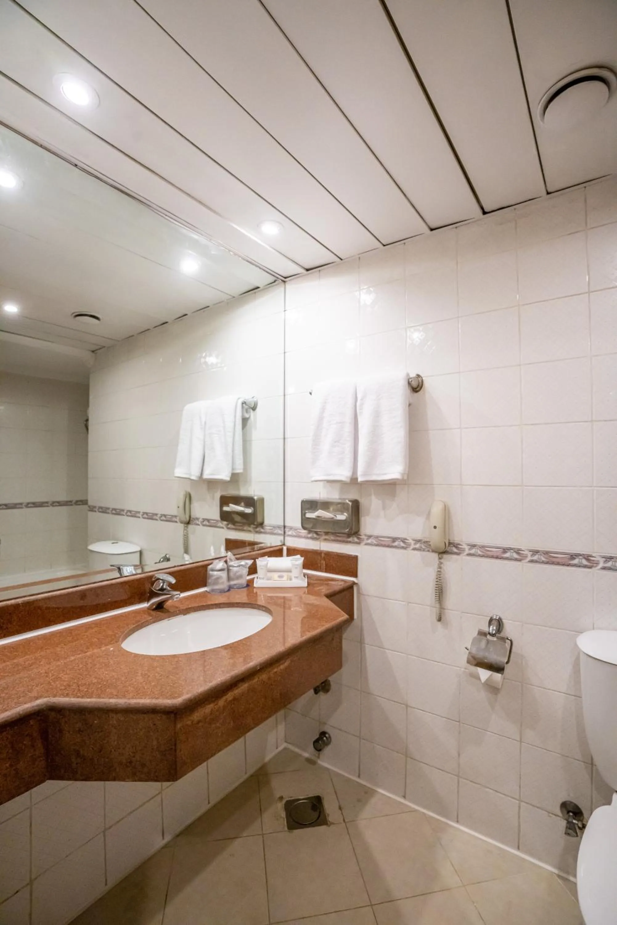 Toilet in Azal Pyramids Hotel