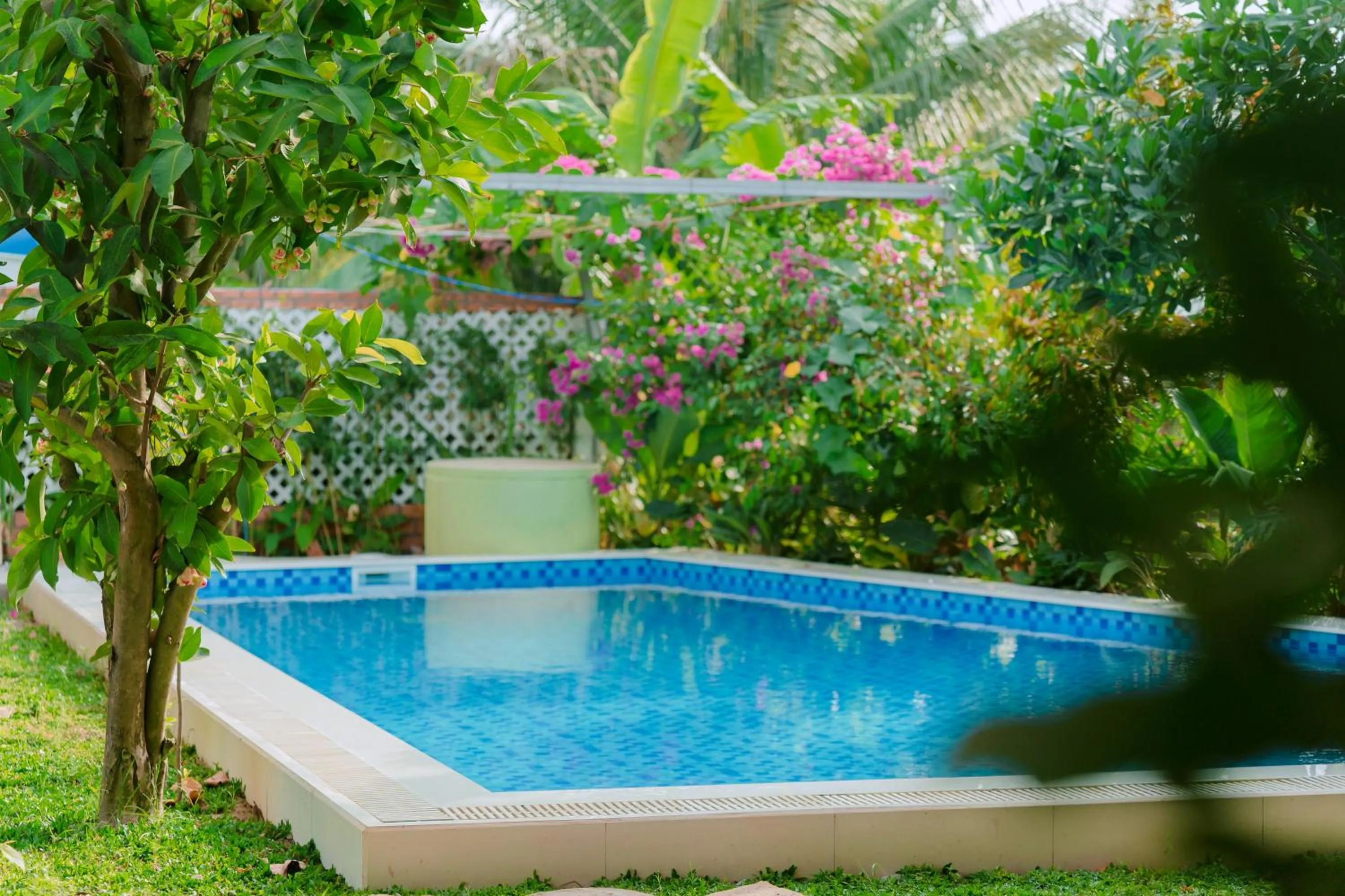 Swimming pool in Wooden Homestay LAGI