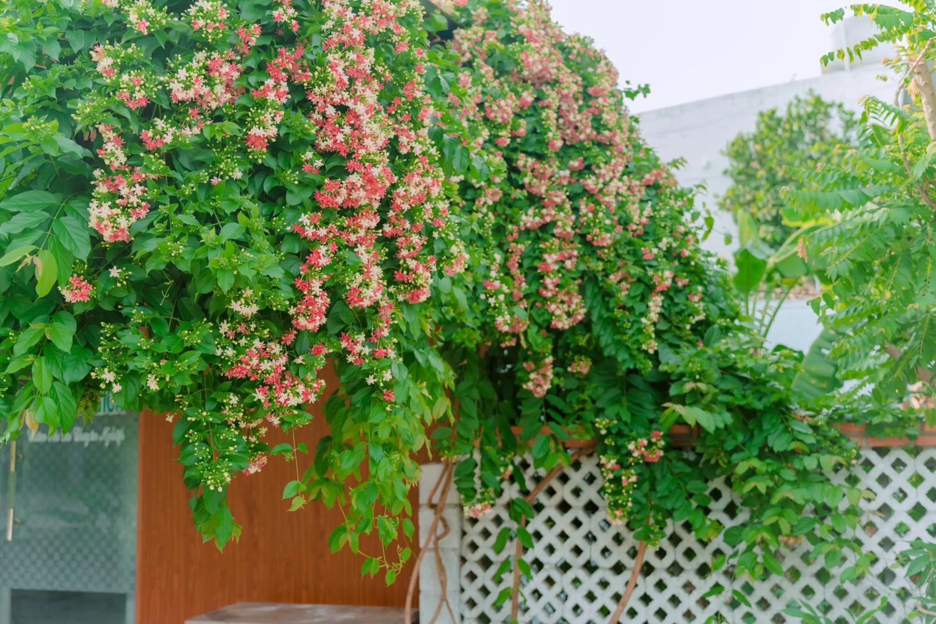 Spring in Wooden Homestay LAGI