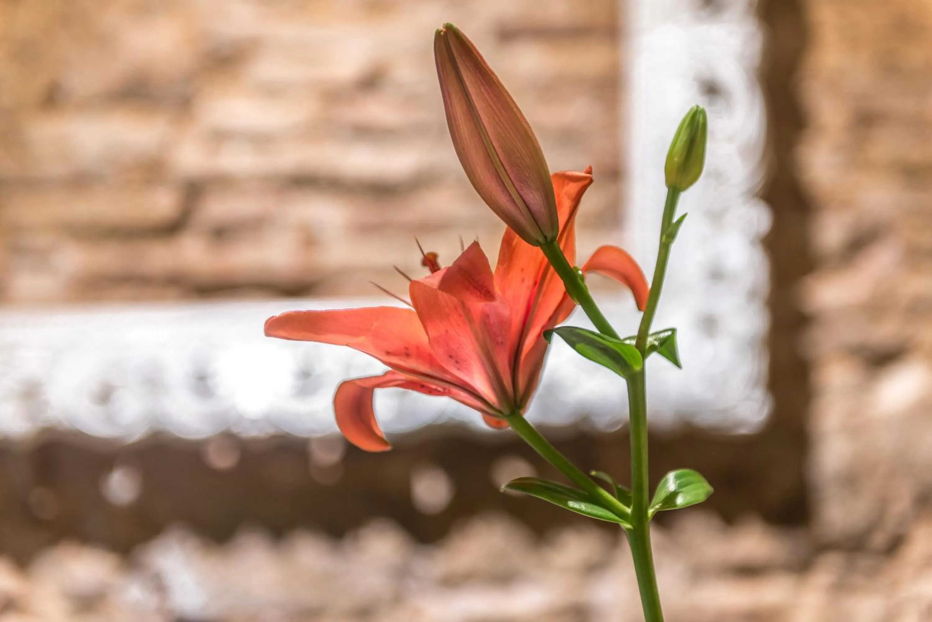 Other in Apartaments Ciutat Vella