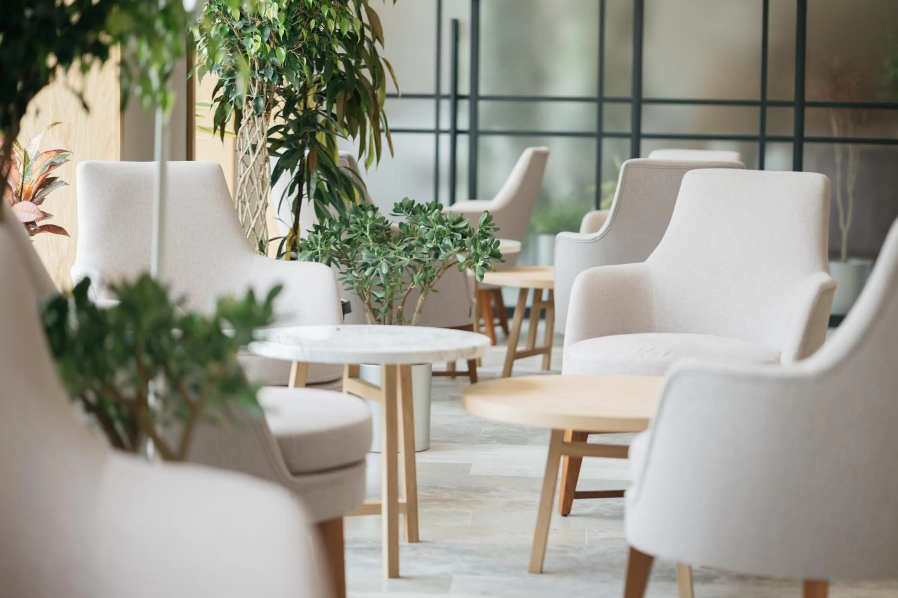 Communal lounge/ TV room in Old Ijevan Boutique Hotel