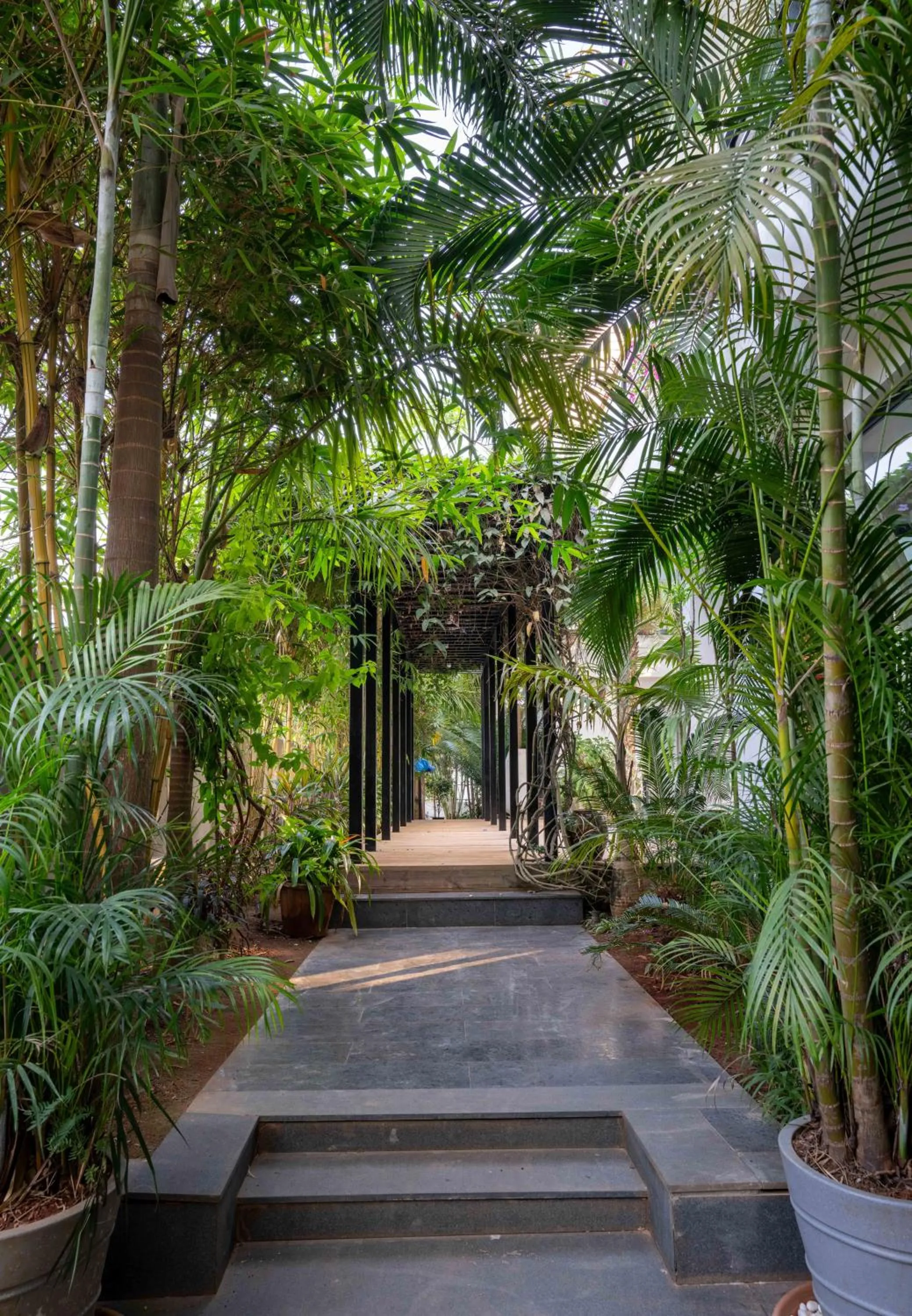 Garden in Amorzito by Solitaire Stays