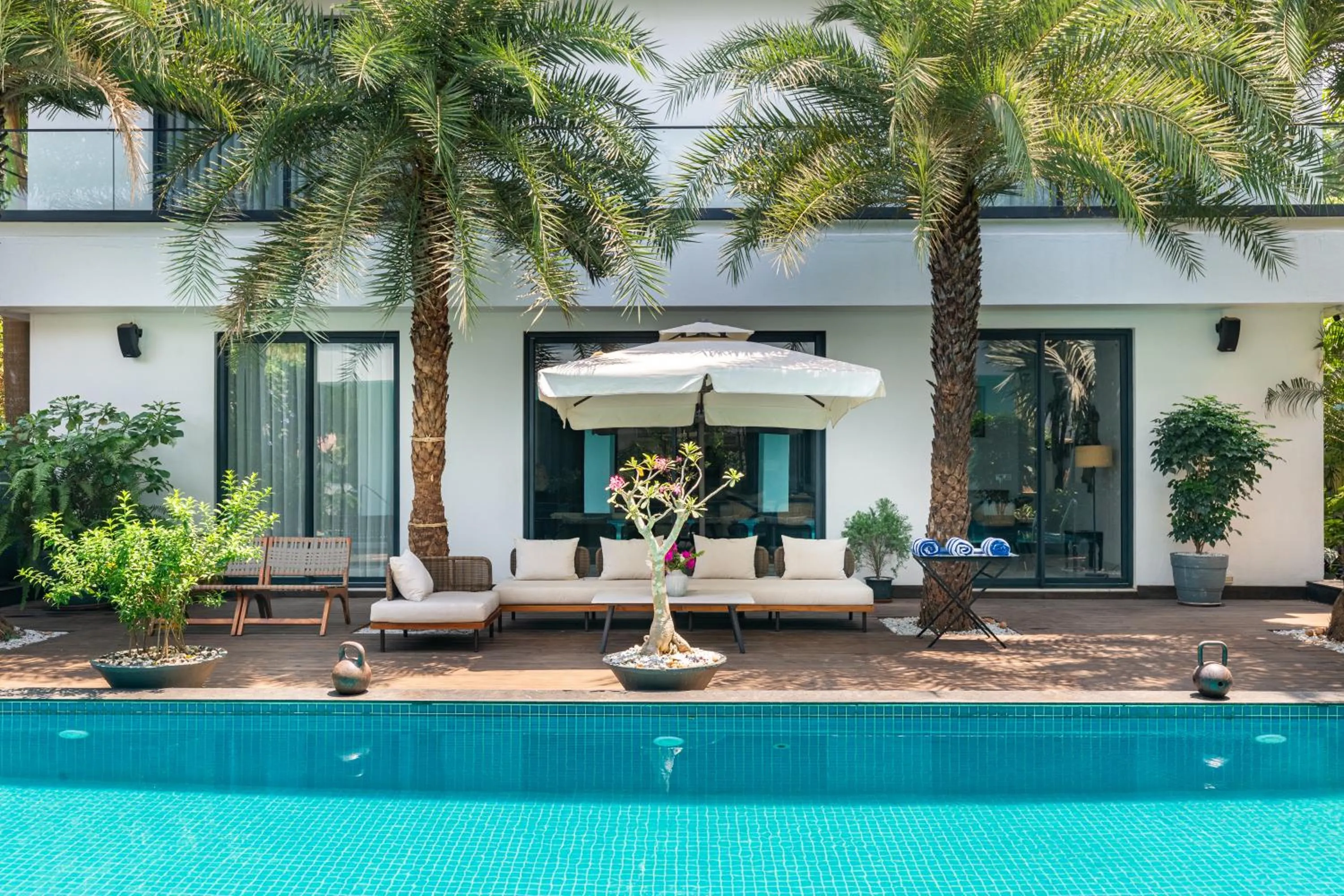 Amorzito by Solitaire Stays