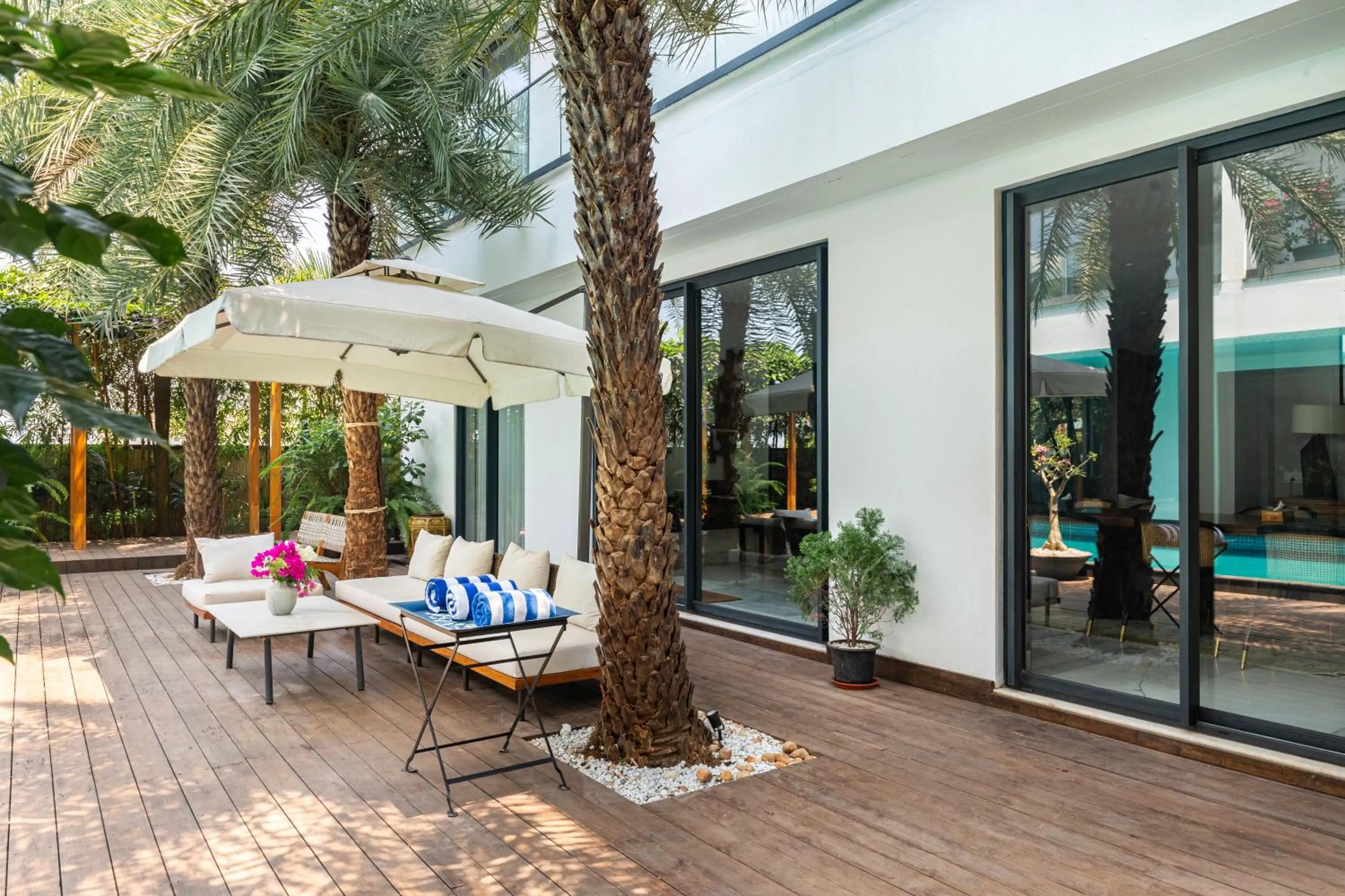 Amorzito by Solitaire Stays