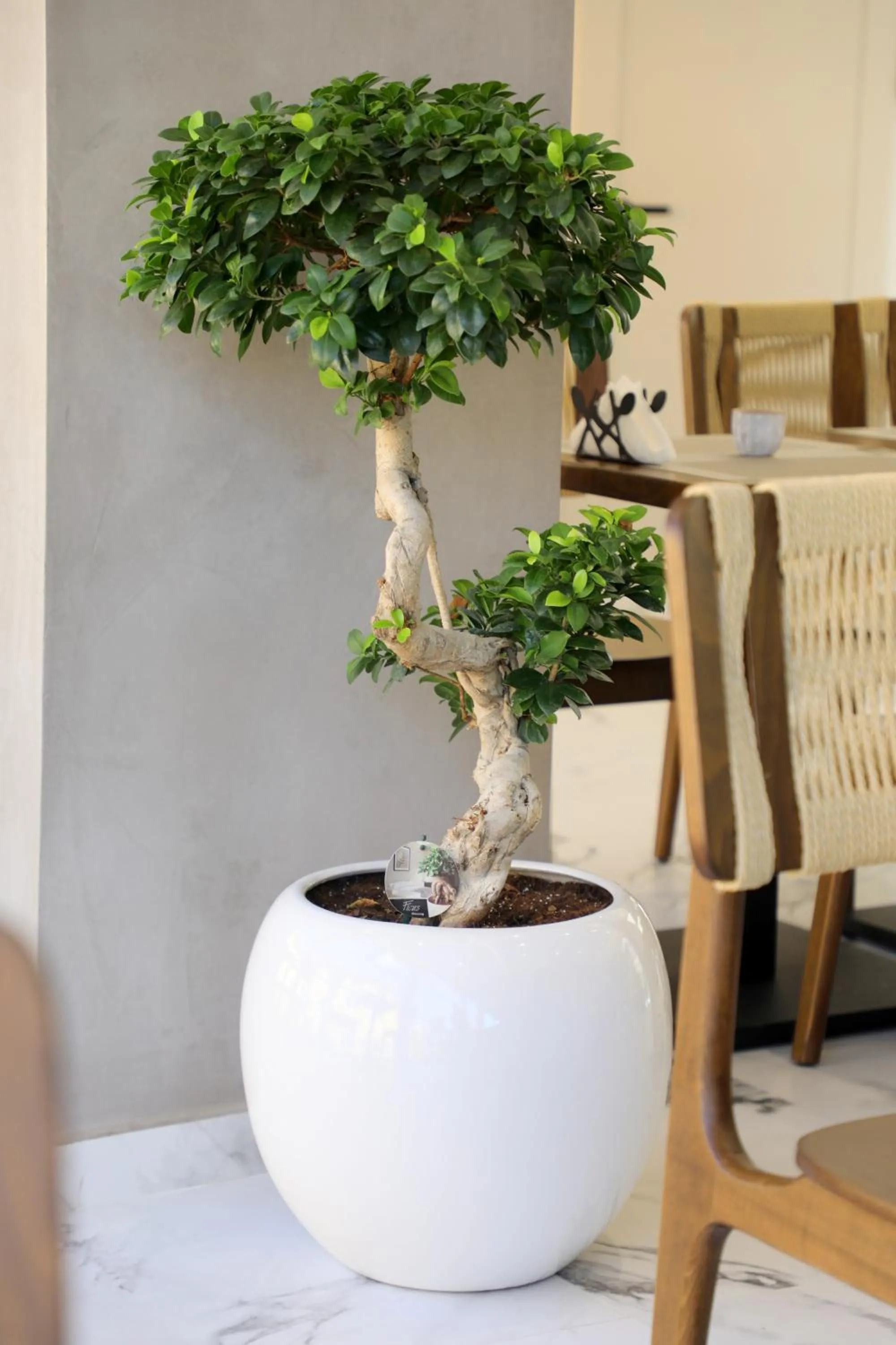 Lounge or bar in Niklas Boutique Hotel