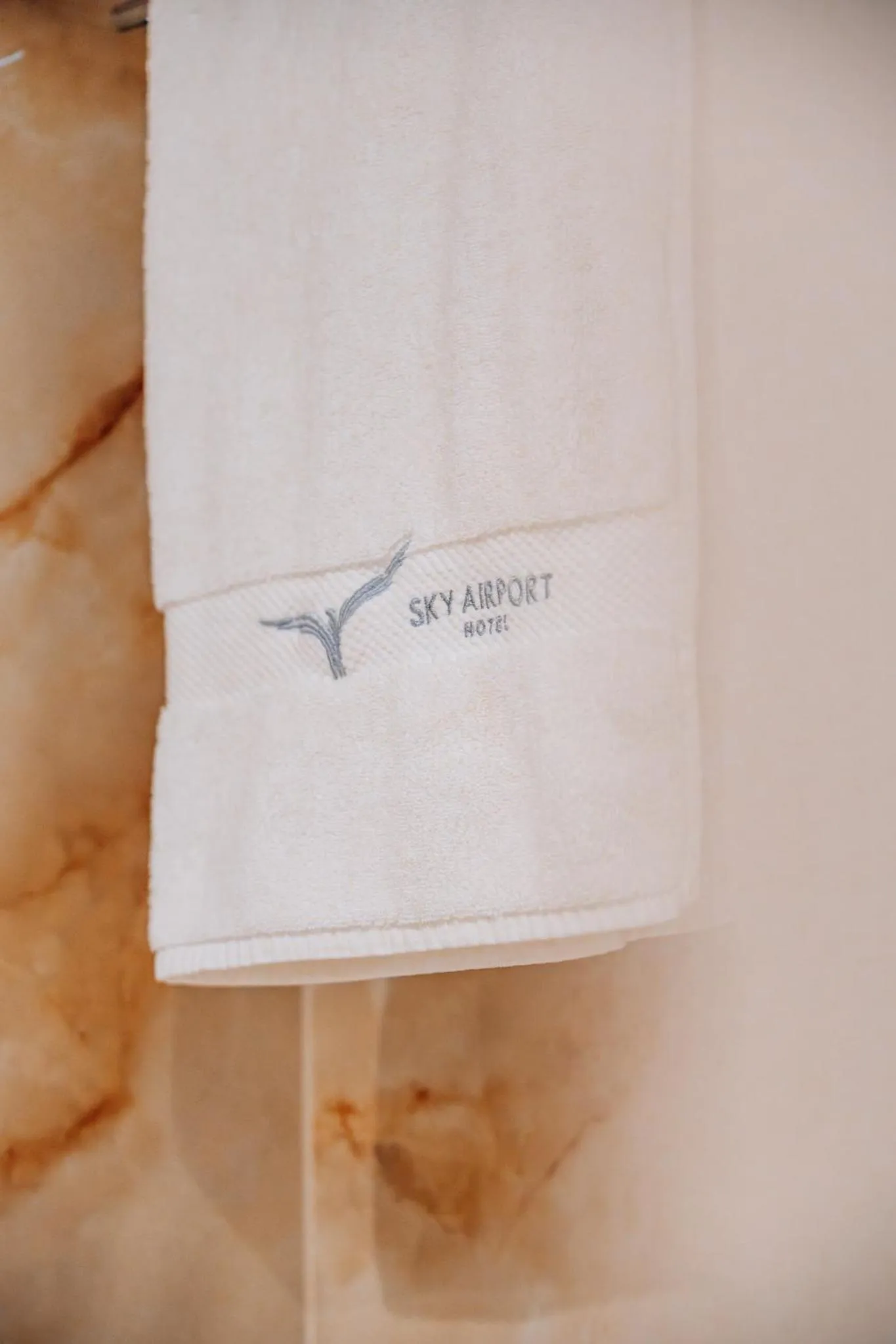 Property logo or sign in Sky Airport Hotel