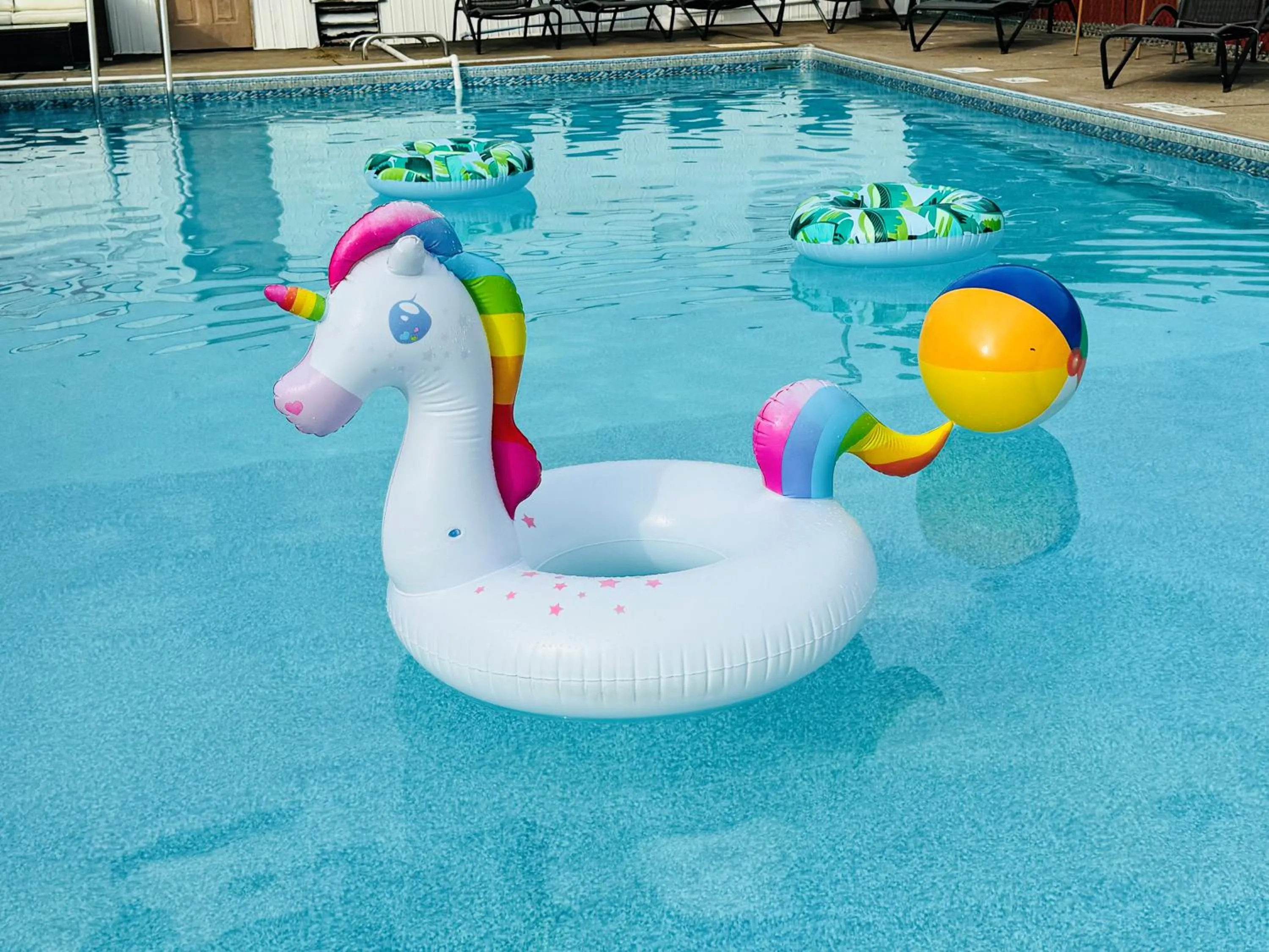 Swimming pool in Quality Lodge