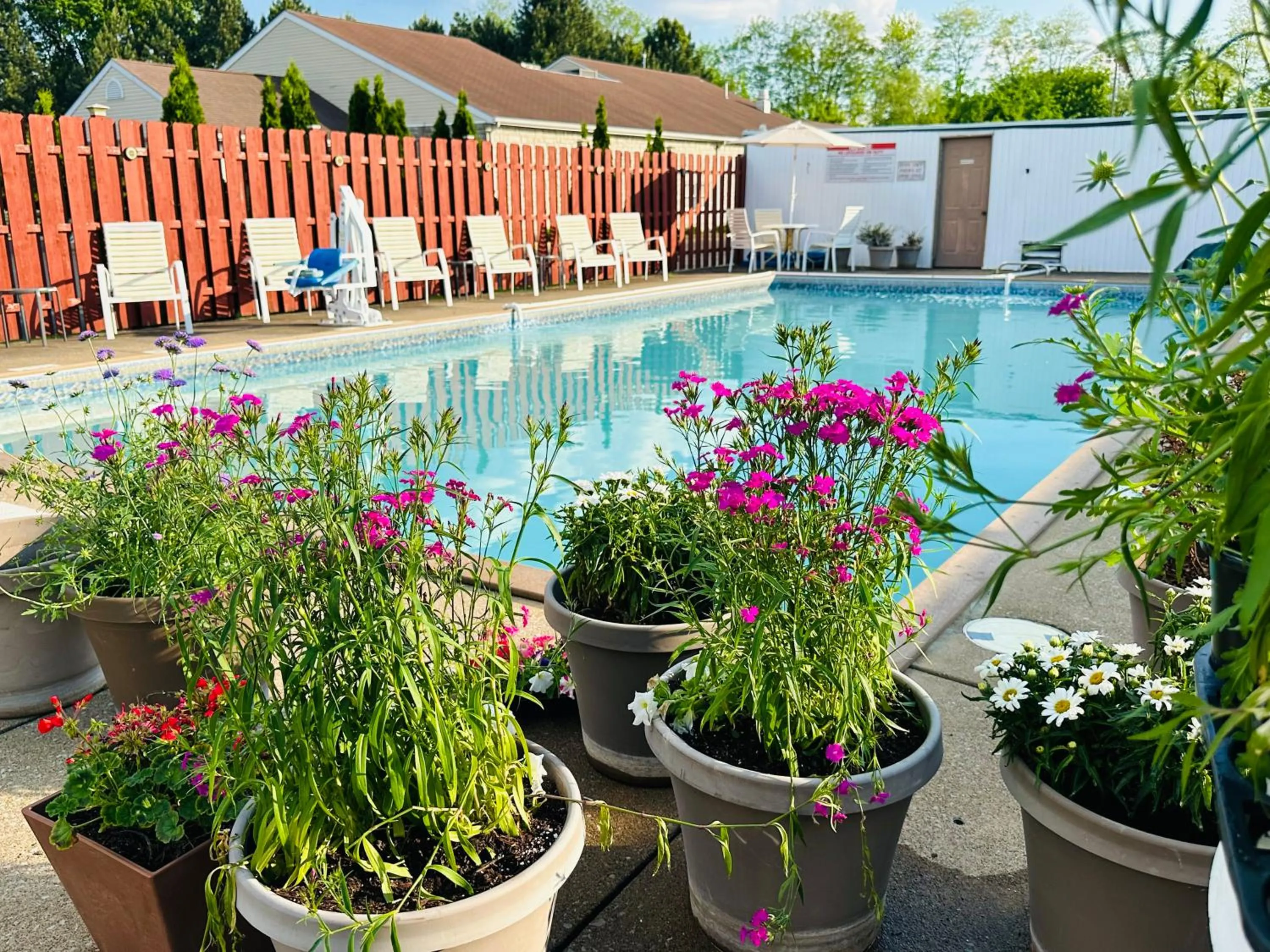 Swimming pool in Quality Lodge