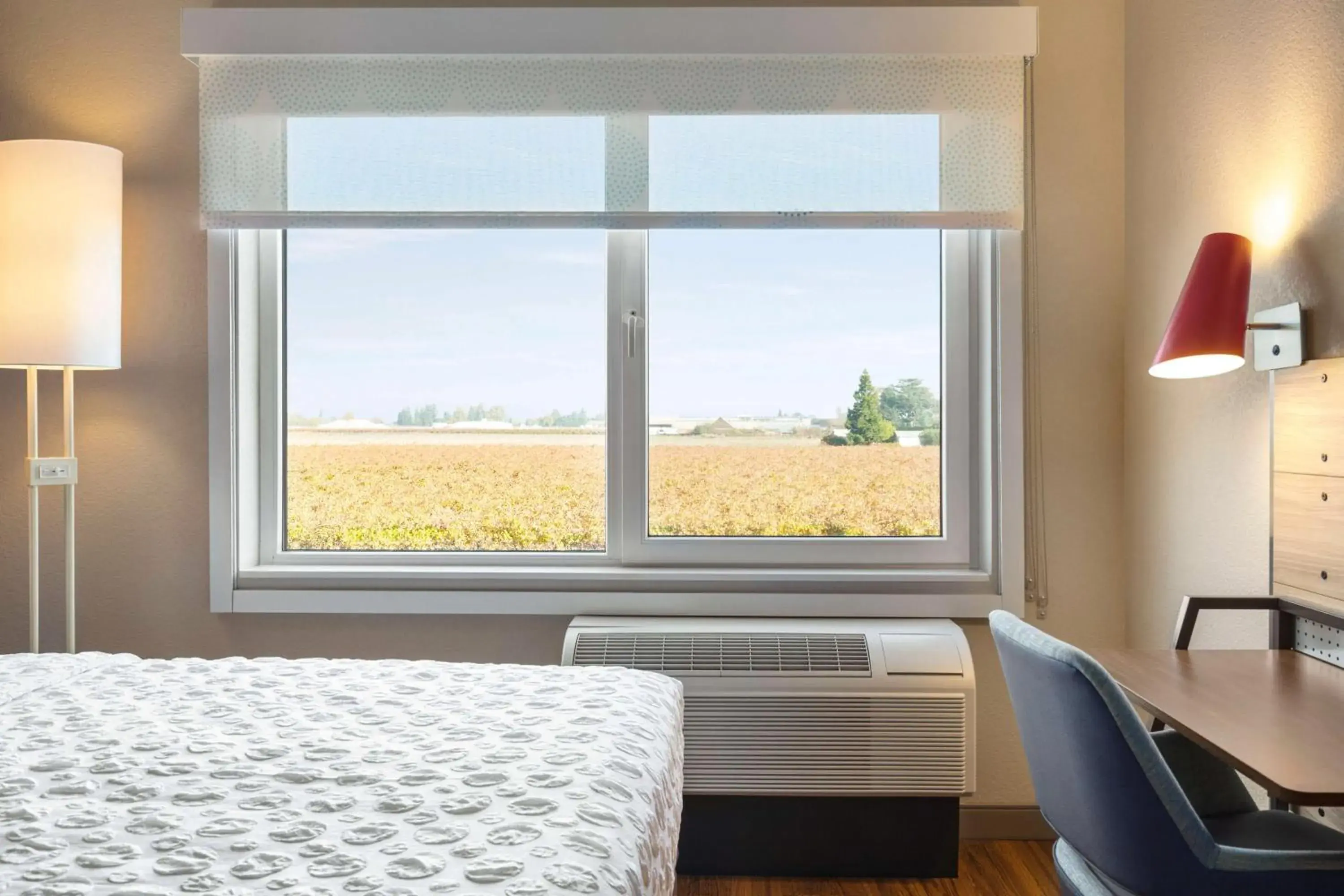 Queen Room with Two Queen Beds and Walk-In Shower in Tru By Hilton Lodi Queen Room with Two Queen Beds and Walk-In Shower in Tru By Hilton Lodi