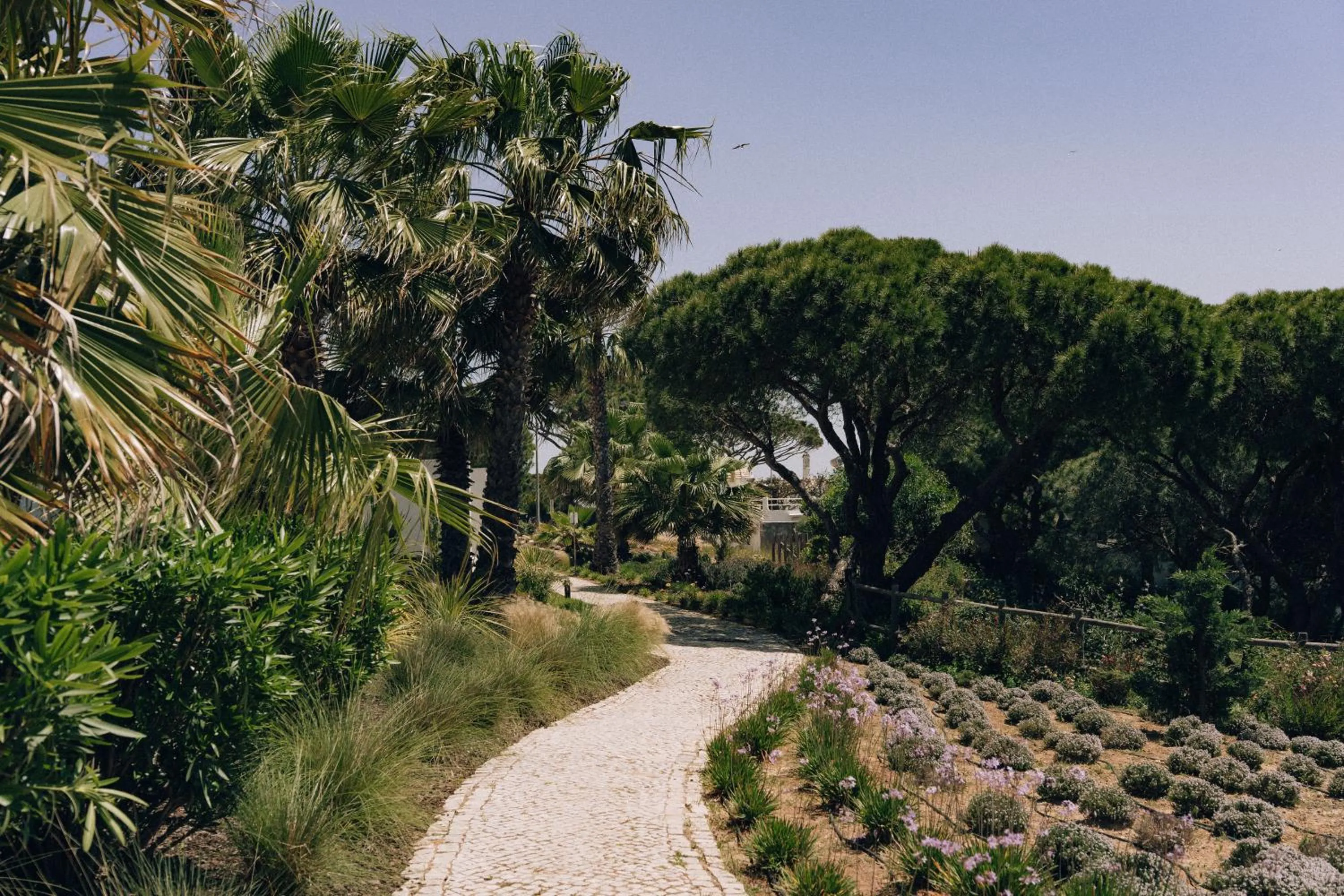 Garden in Masana Algarve