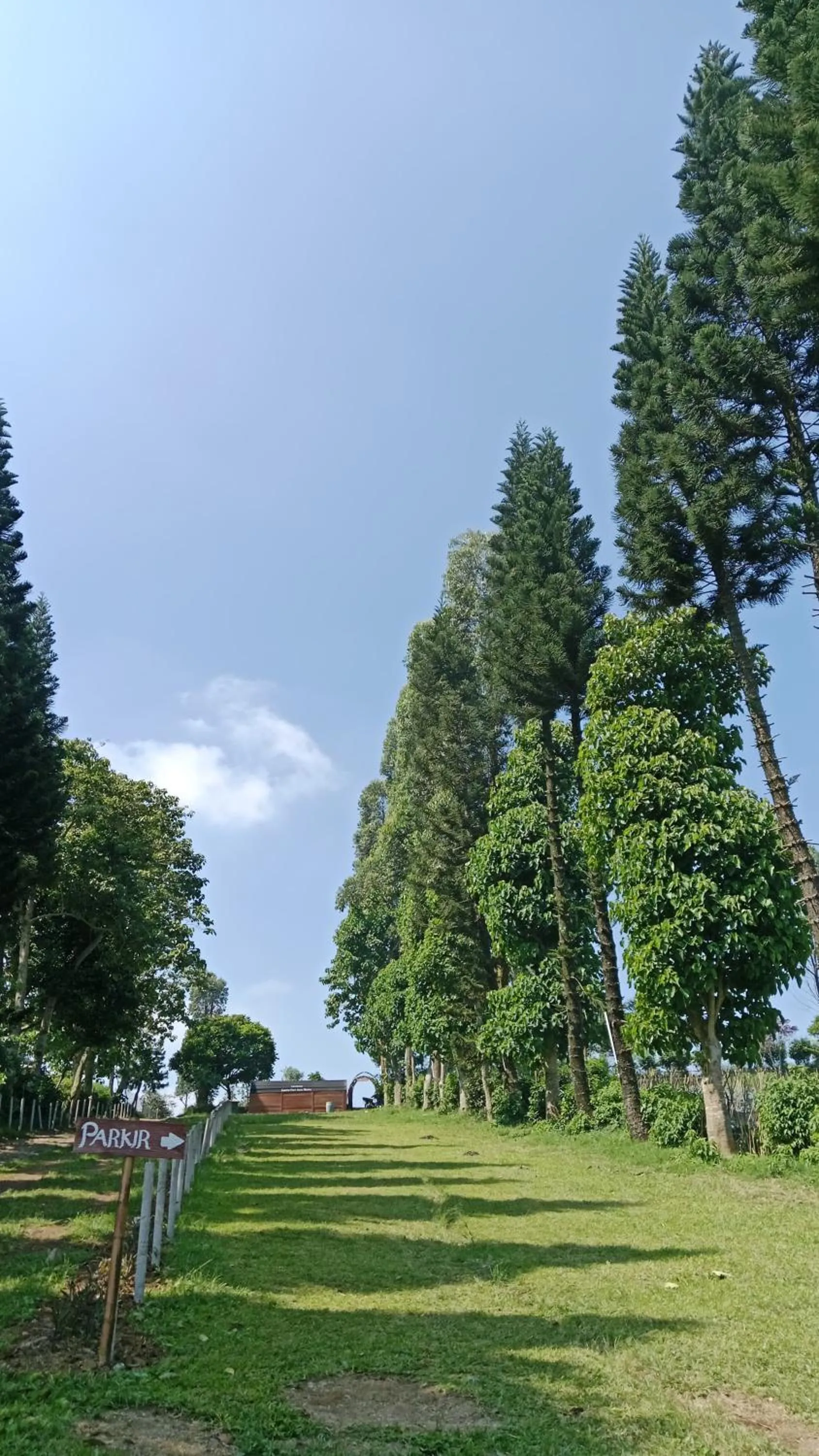 Natural landscape in Snow Princess Mountain Glamping Resort at Clubbali,Lembang