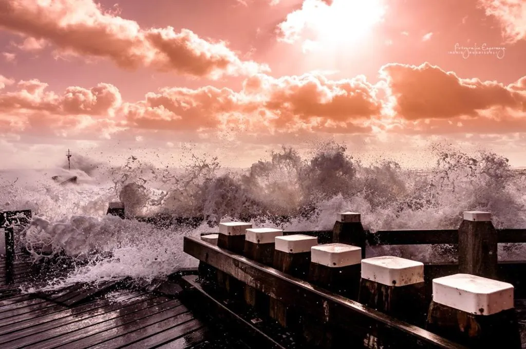 Beach in Bed and Breakfast de Kleyne Wereld