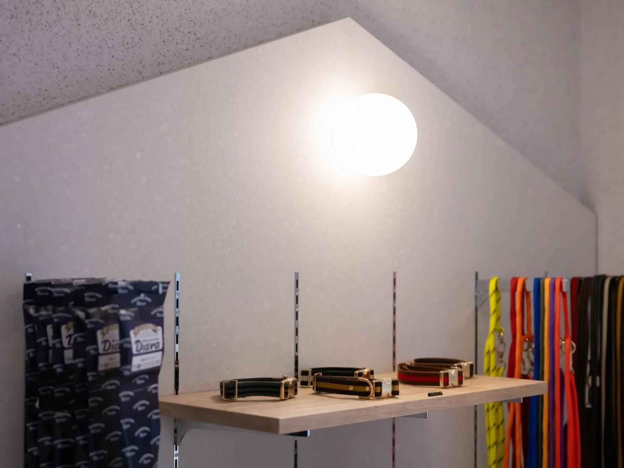 hotel anddoggy Kyoto Nijo