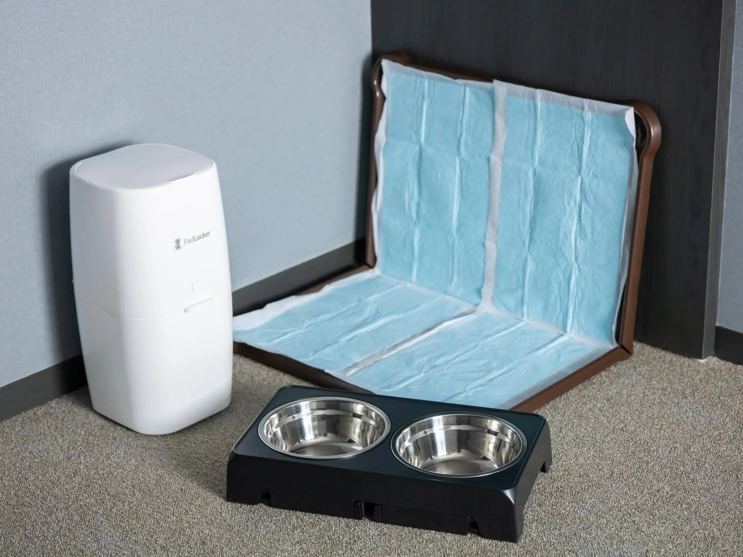 Pets in hotel anddoggy Kyoto Nijo