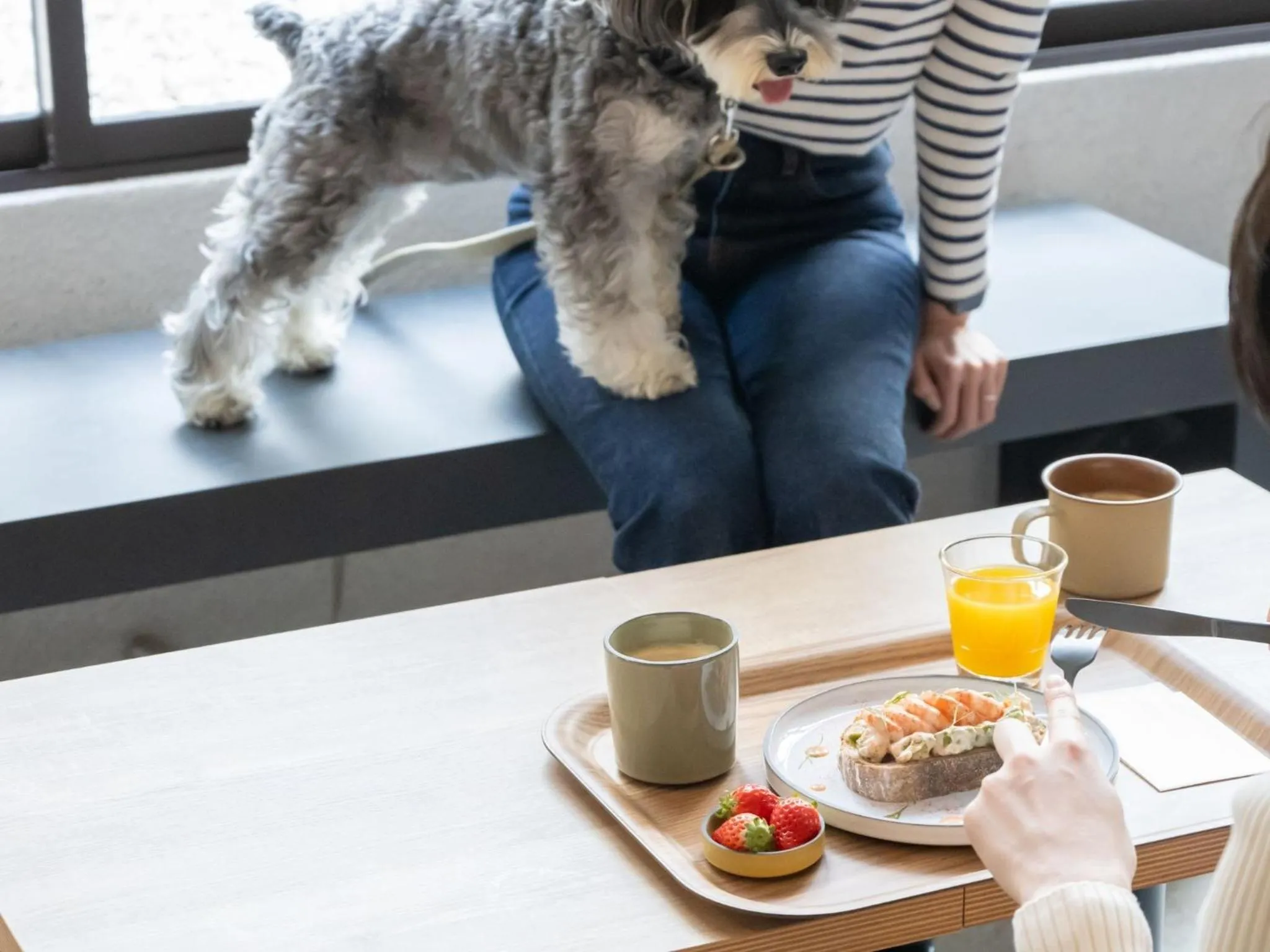 hotel anddoggy Kyoto Nijo