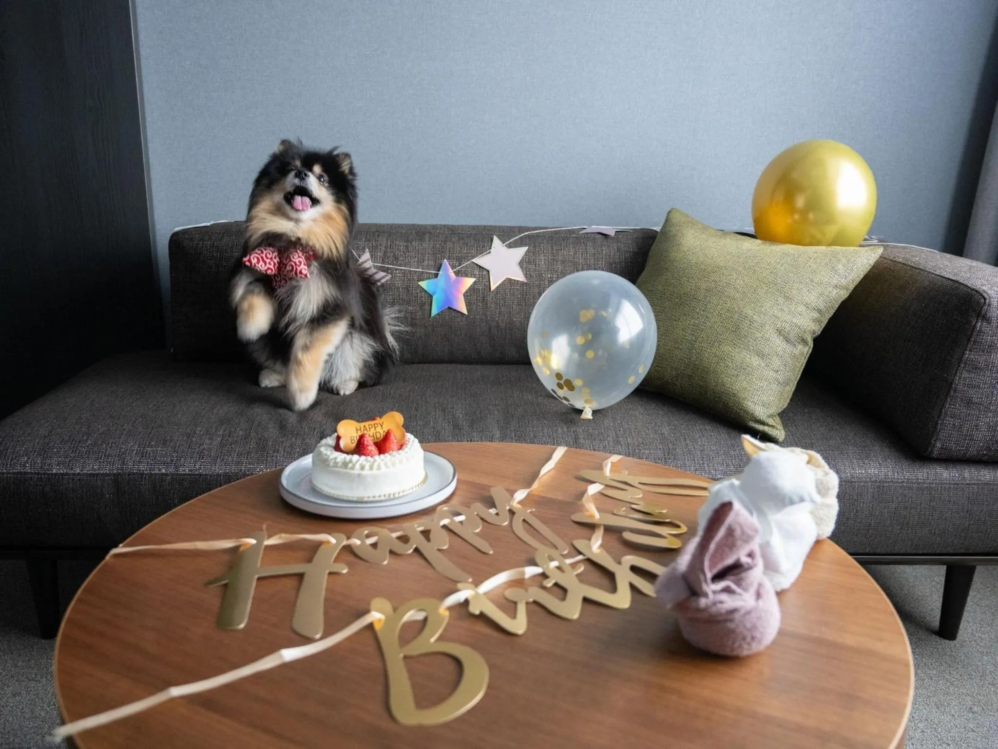 hotel anddoggy Kyoto Nijo