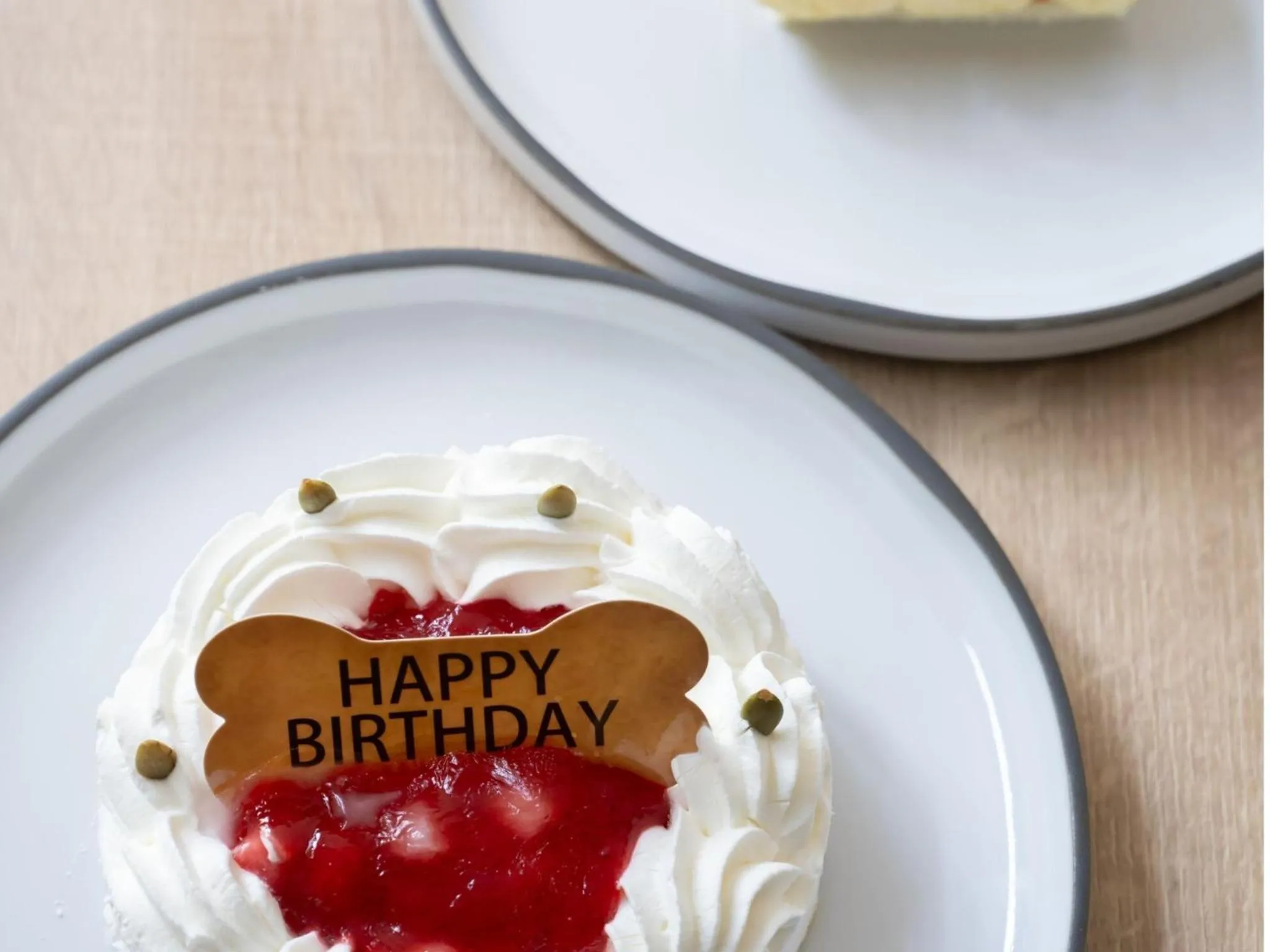 Animals in hotel anddoggy Kyoto Nijo