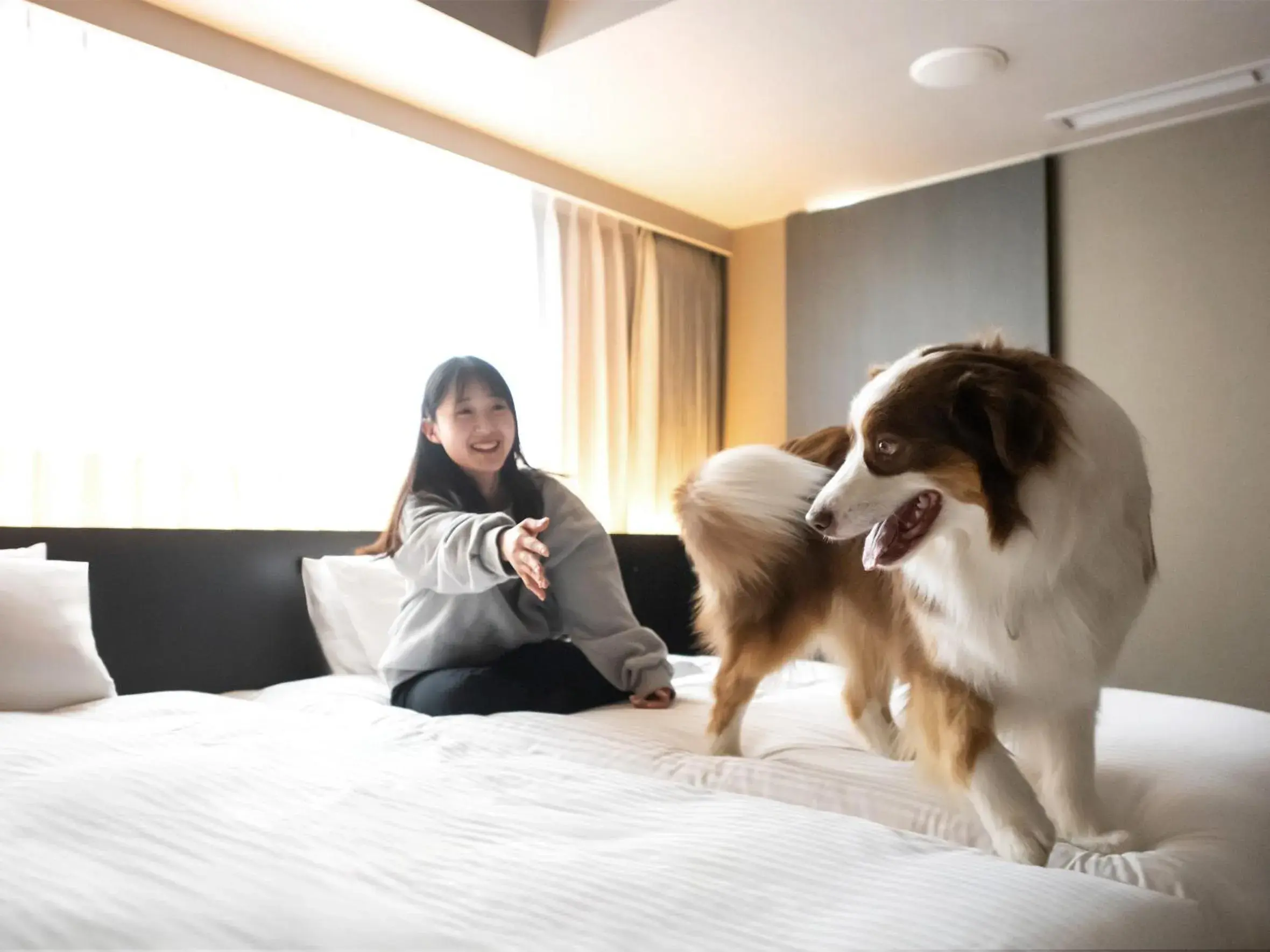 Deluxe Twin Room - Dog Friendly - Non-Smoking in hotel anddoggy Kyoto Nijo Deluxe Twin Room - Dog Friendly - Non-Smoking in hotel anddoggy Kyoto Nijo