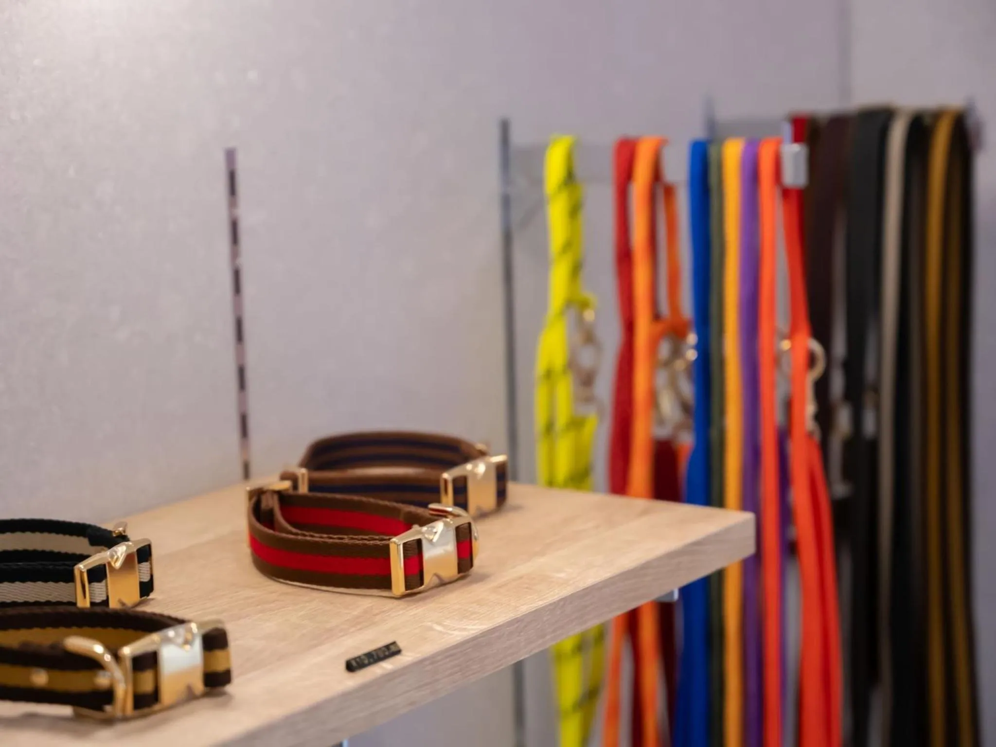 hotel anddoggy Kyoto Nijo