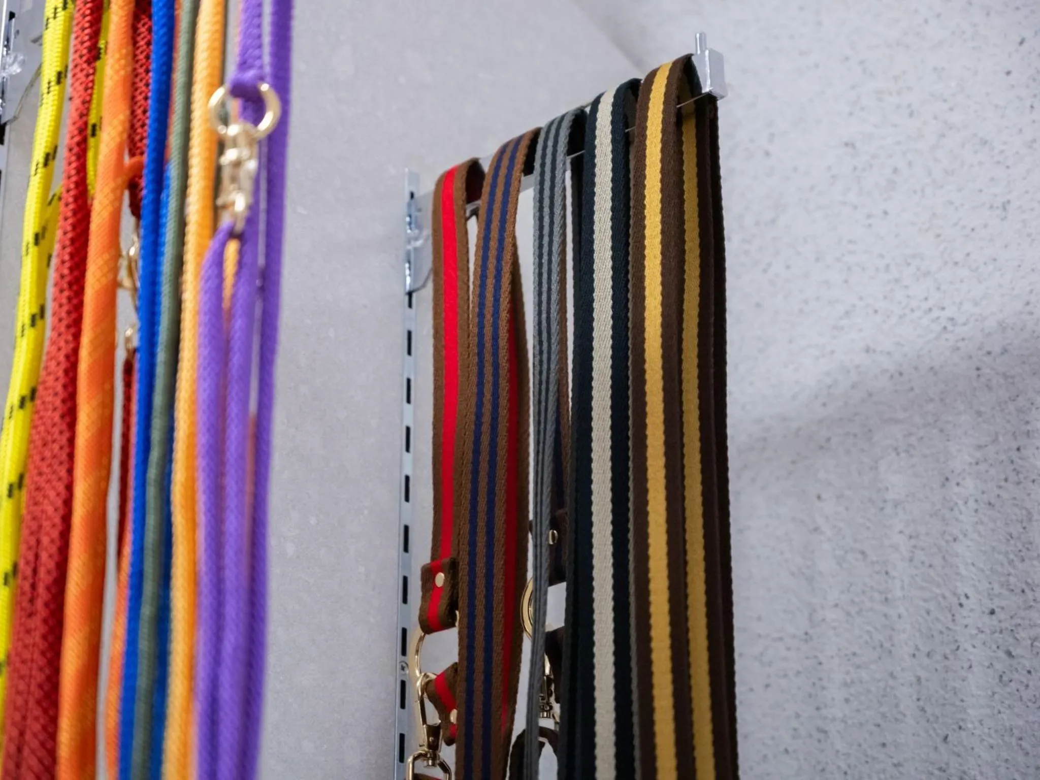 hotel anddoggy Kyoto Nijo