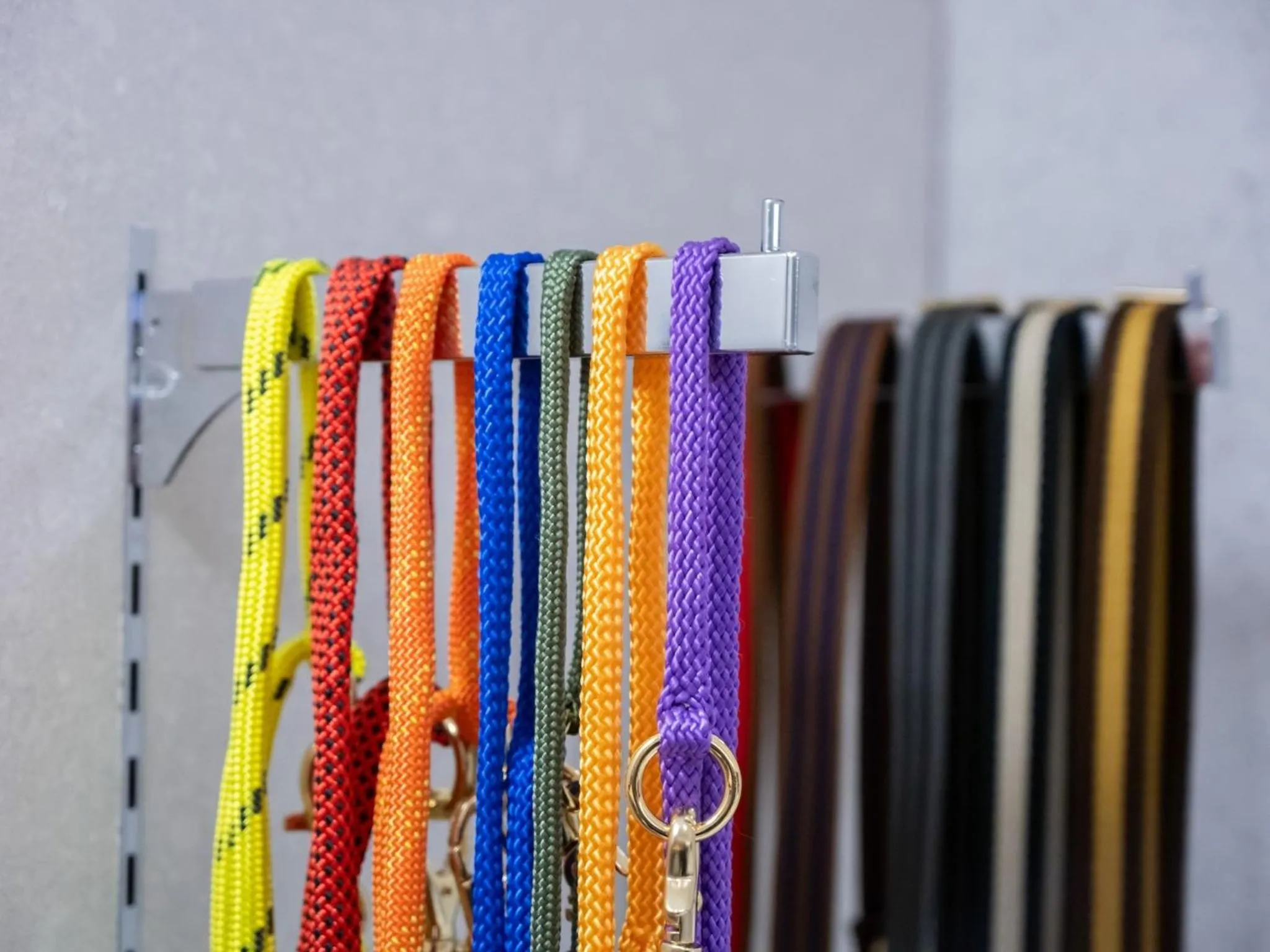 hotel anddoggy Kyoto Nijo