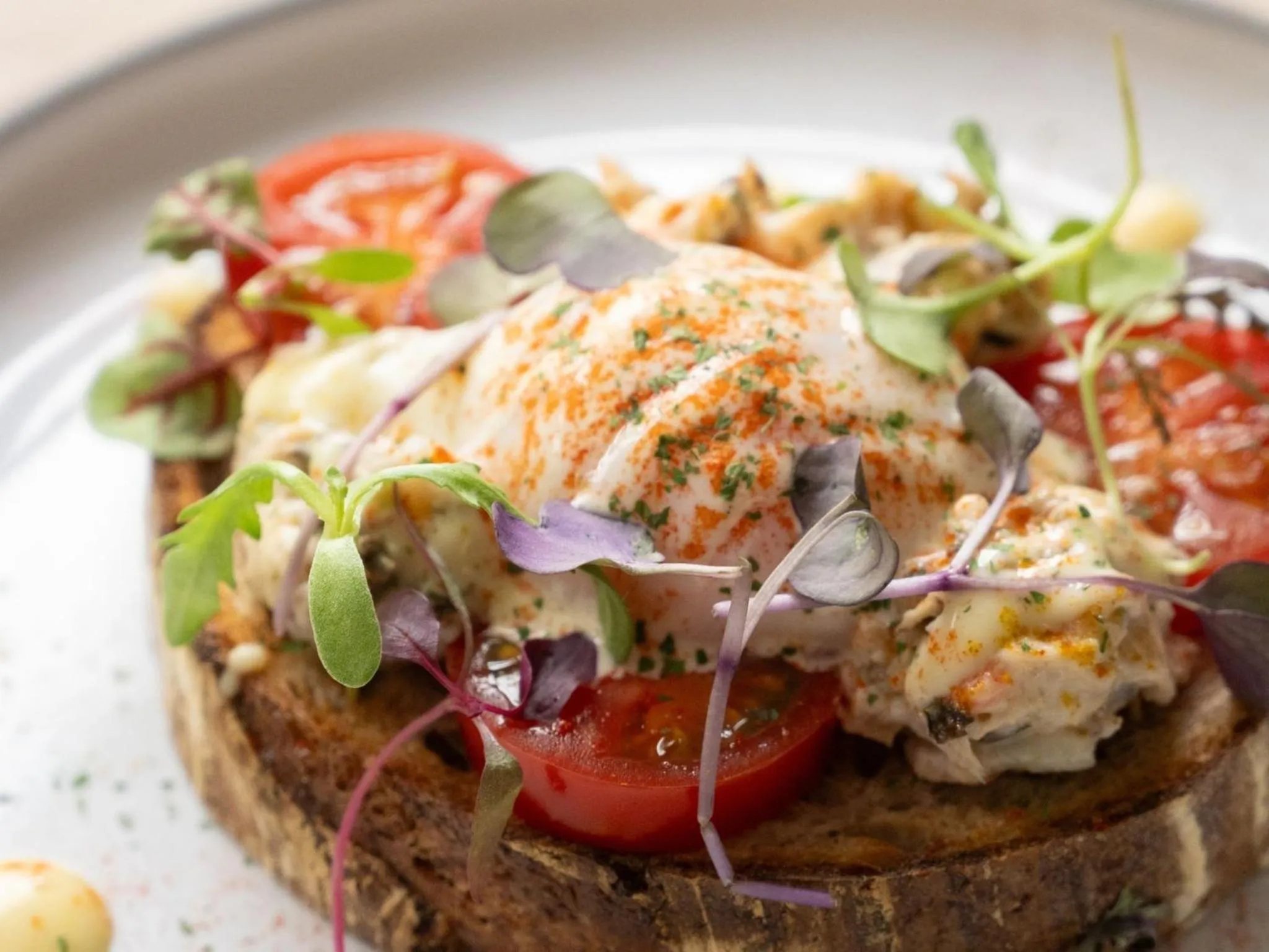 Food in hotel anddoggy Kyoto Nijo