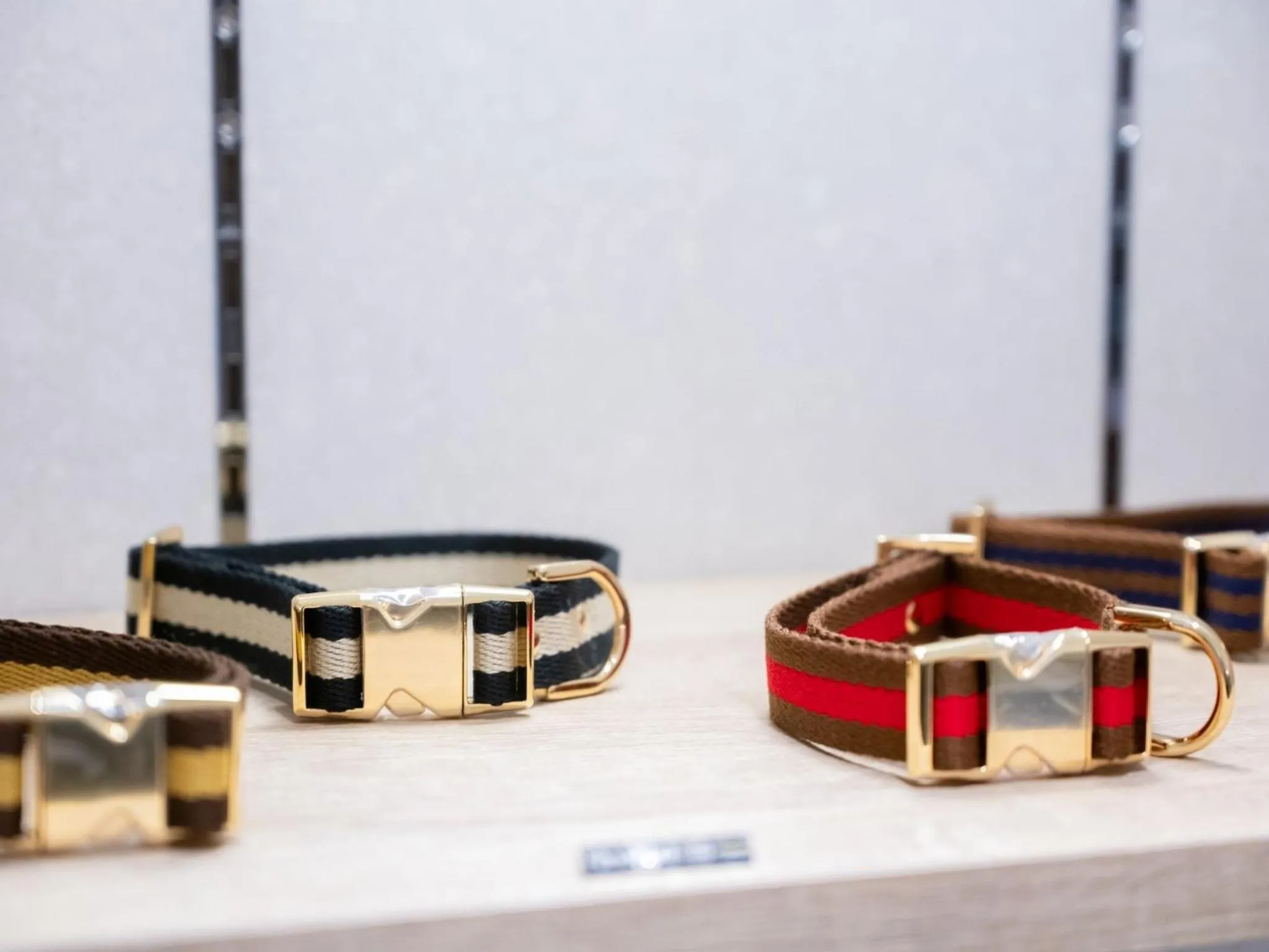 hotel anddoggy Kyoto Nijo