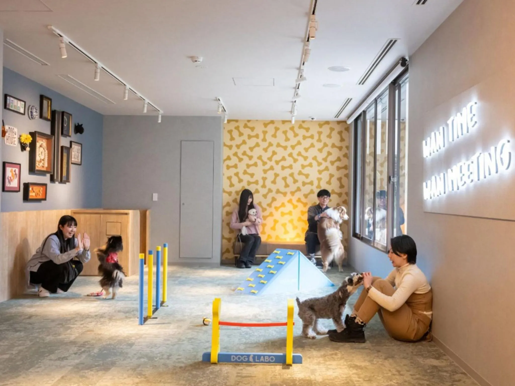 Animals in hotel anddoggy Kyoto Nijo