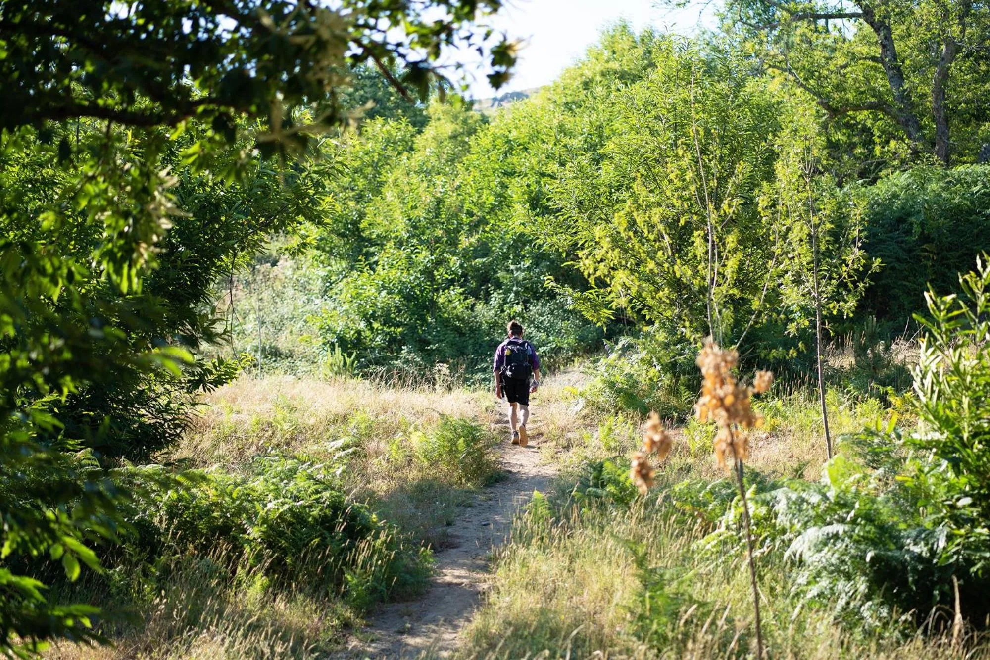 Hiking in Estrela Serenity - Resort