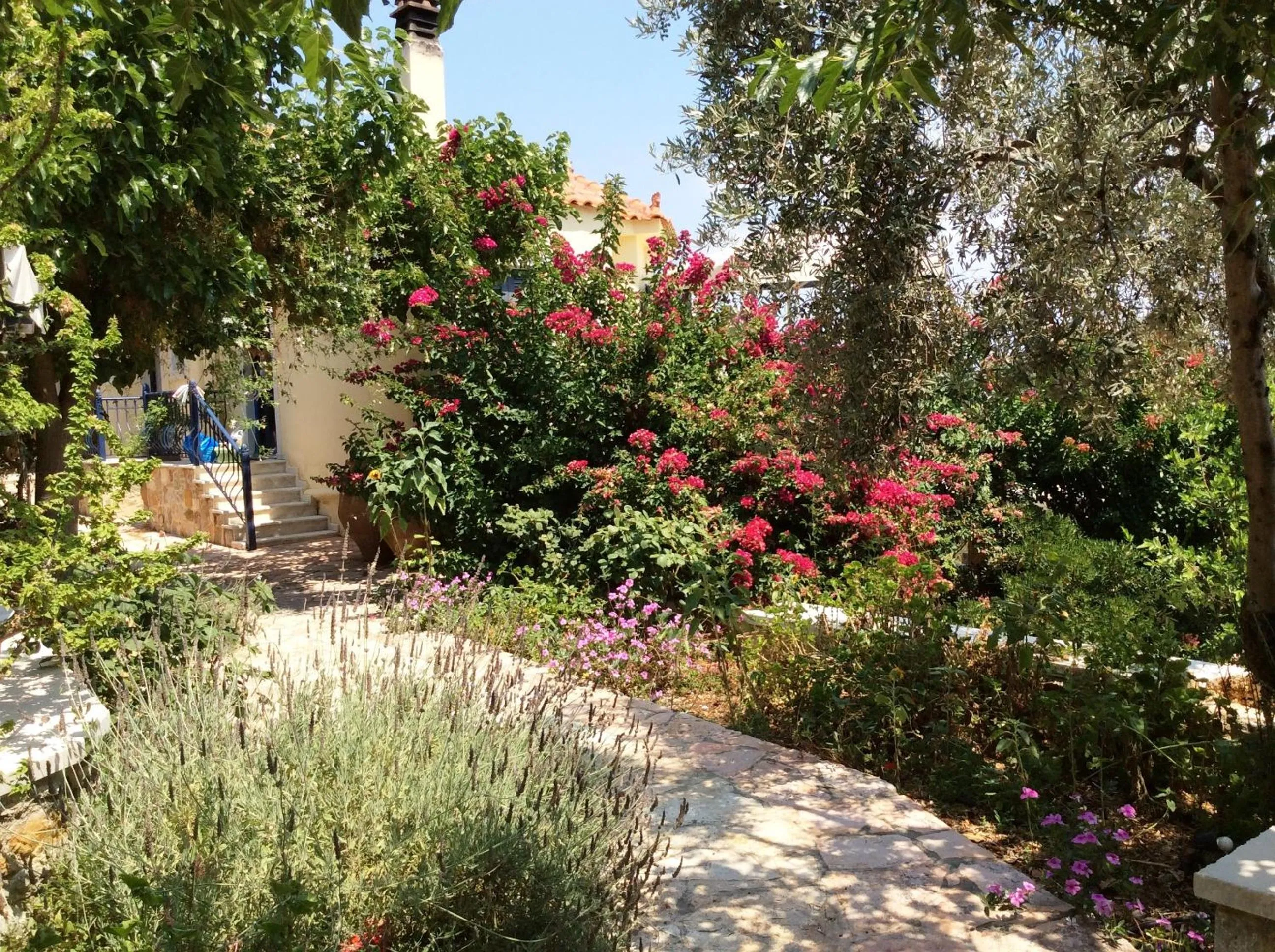 Garden in Angelica Villas Hotel Apartments