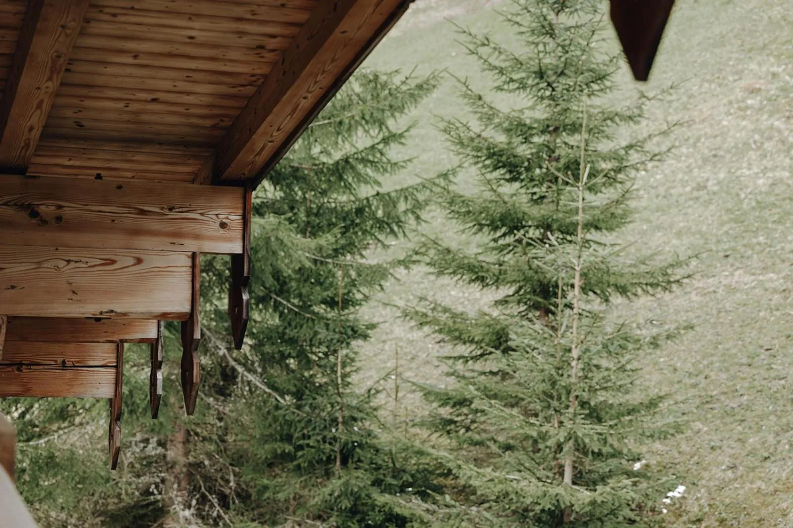 Natural landscape in Hubertus - Das Landhaus