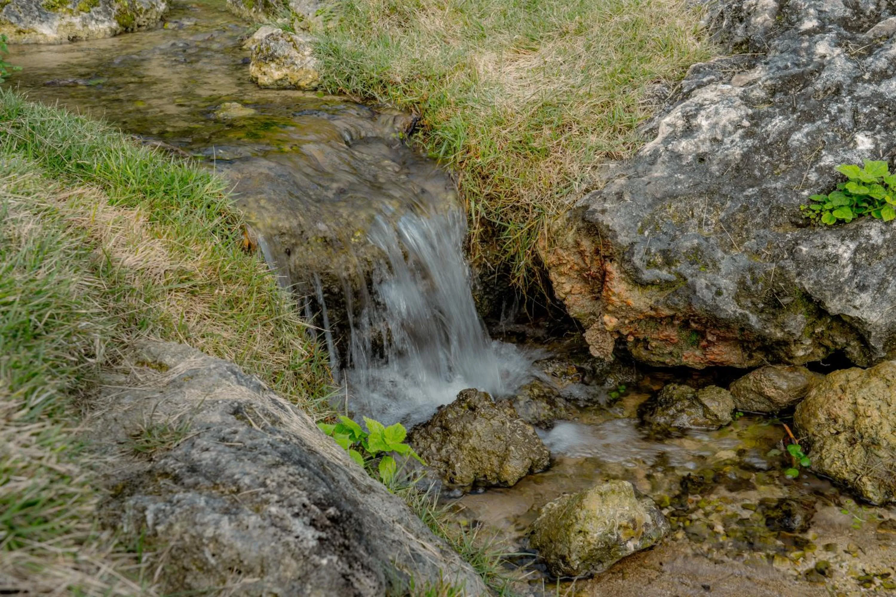 Garden view in THE PANALI