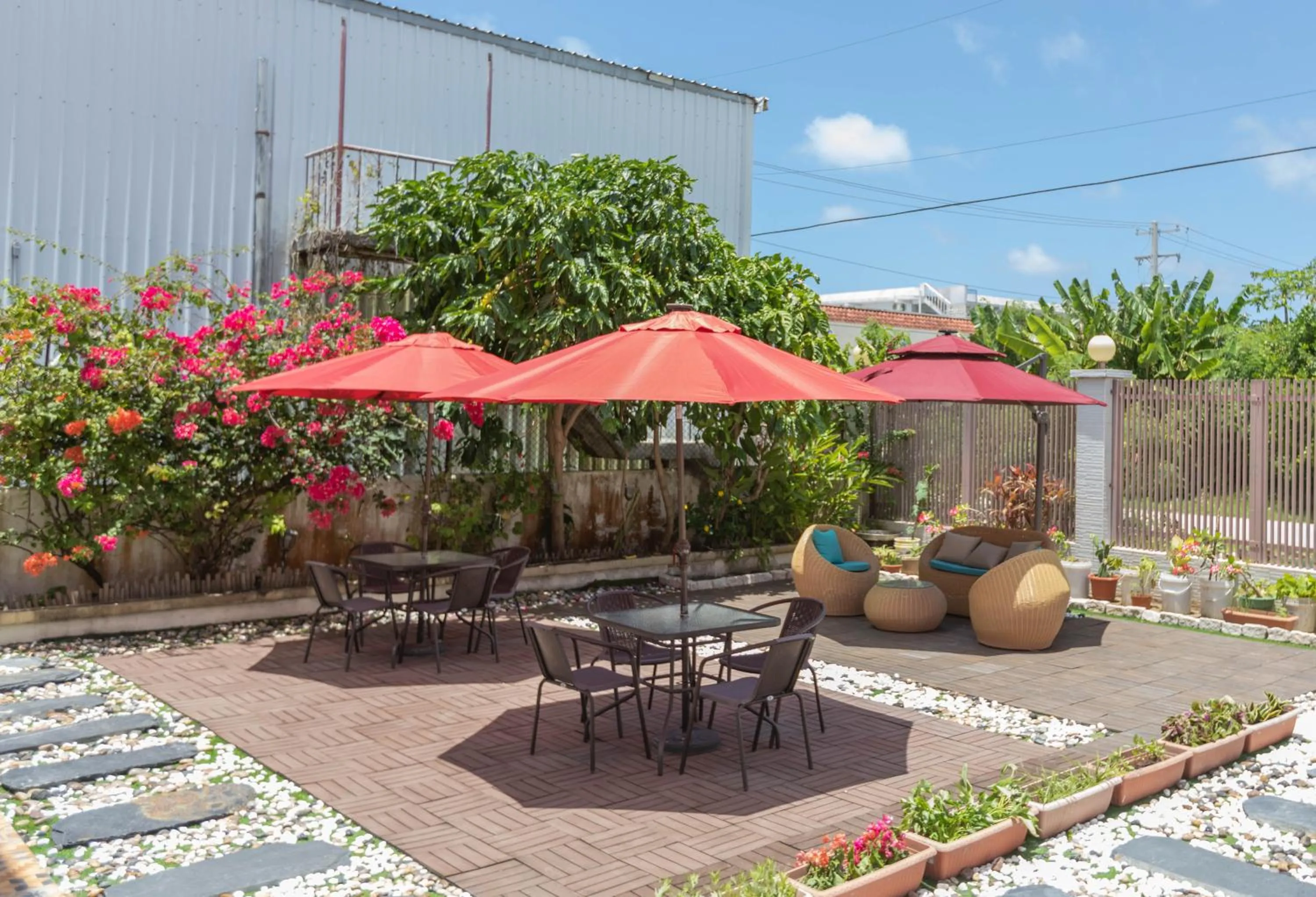 Garden view in Oasis Boutique House