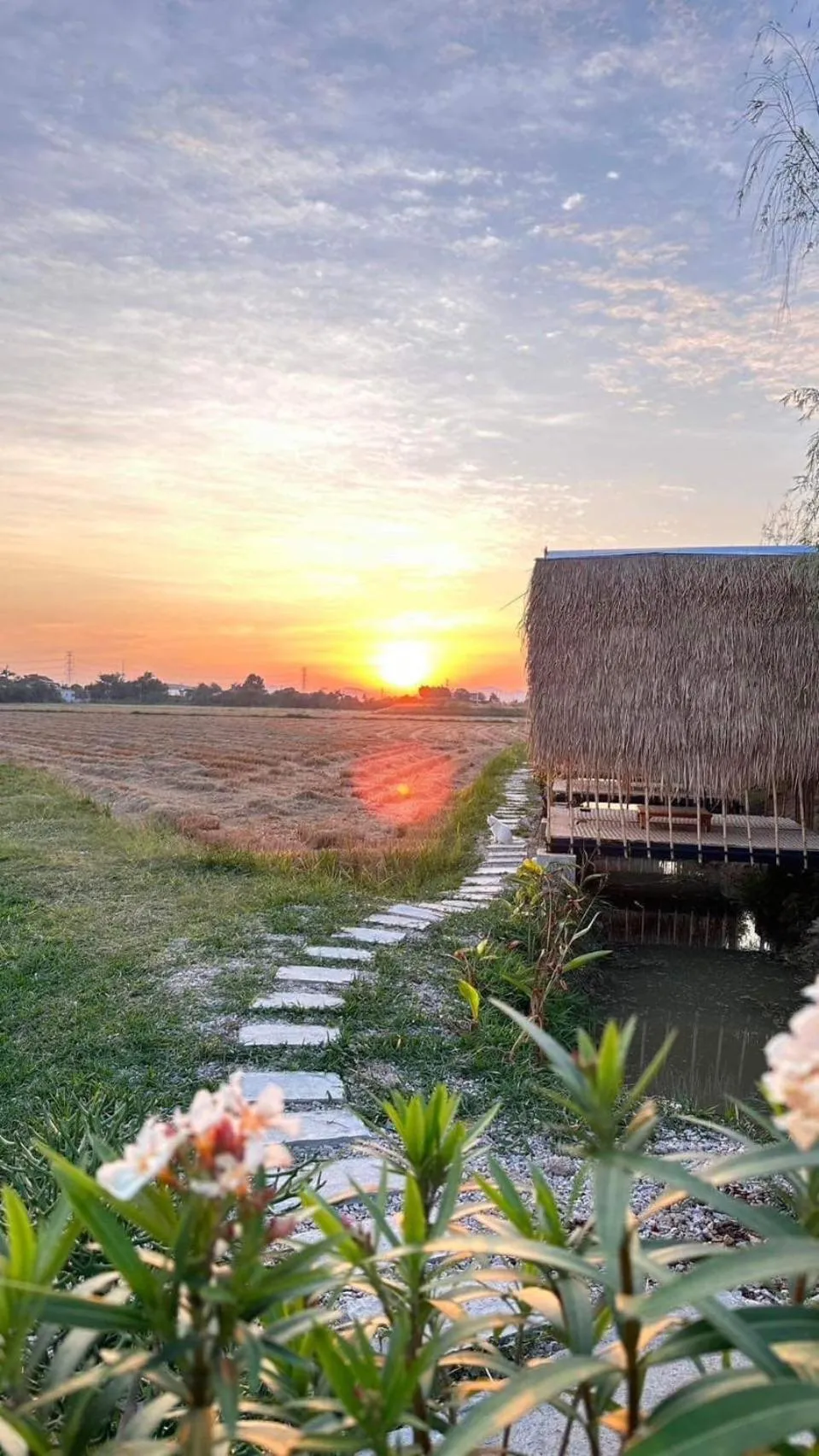 Natural landscape in Penguin Villa Resort & Bistro