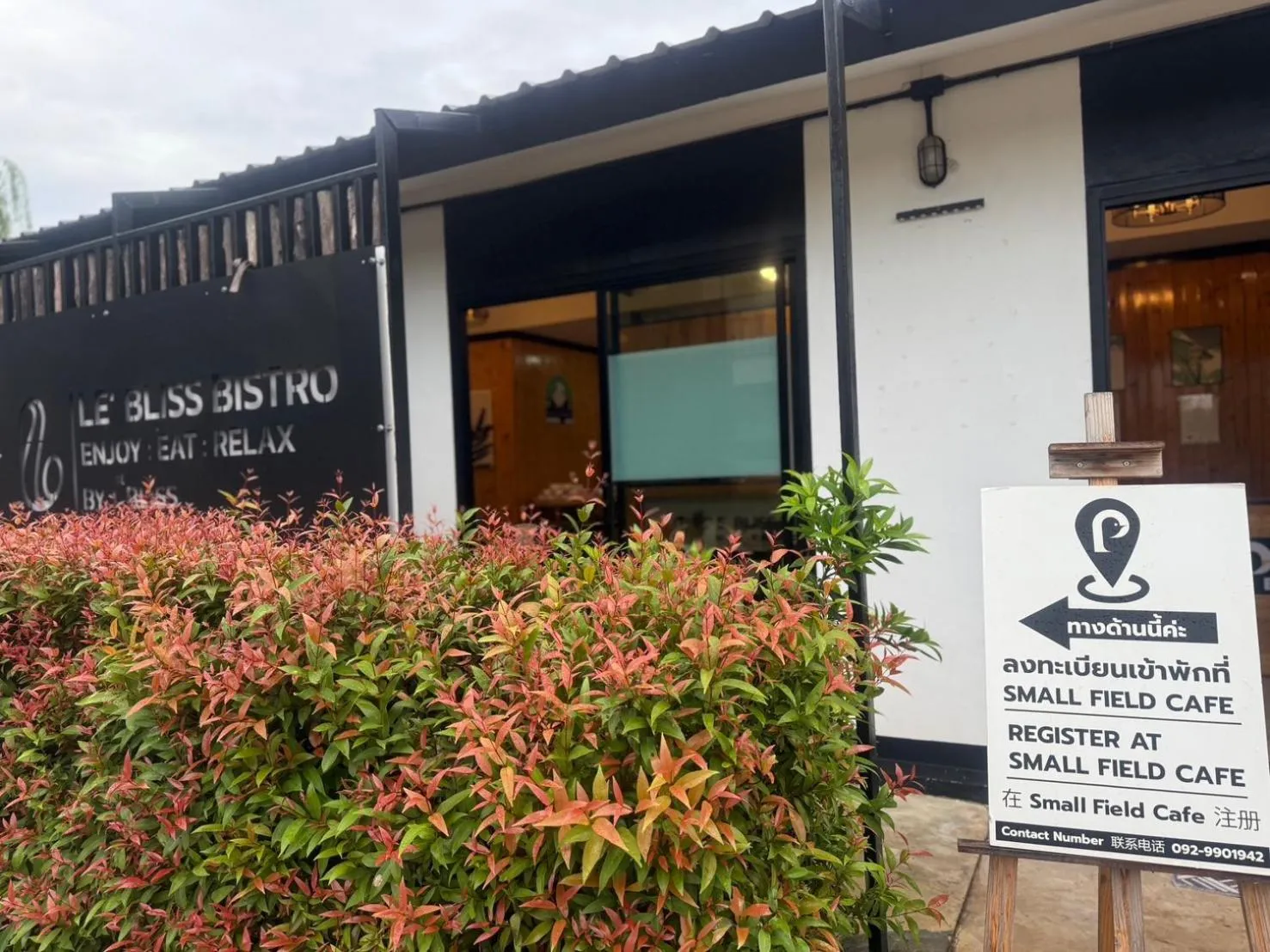 Restaurant/places to eat in Penguin Villa Resort & Bistro