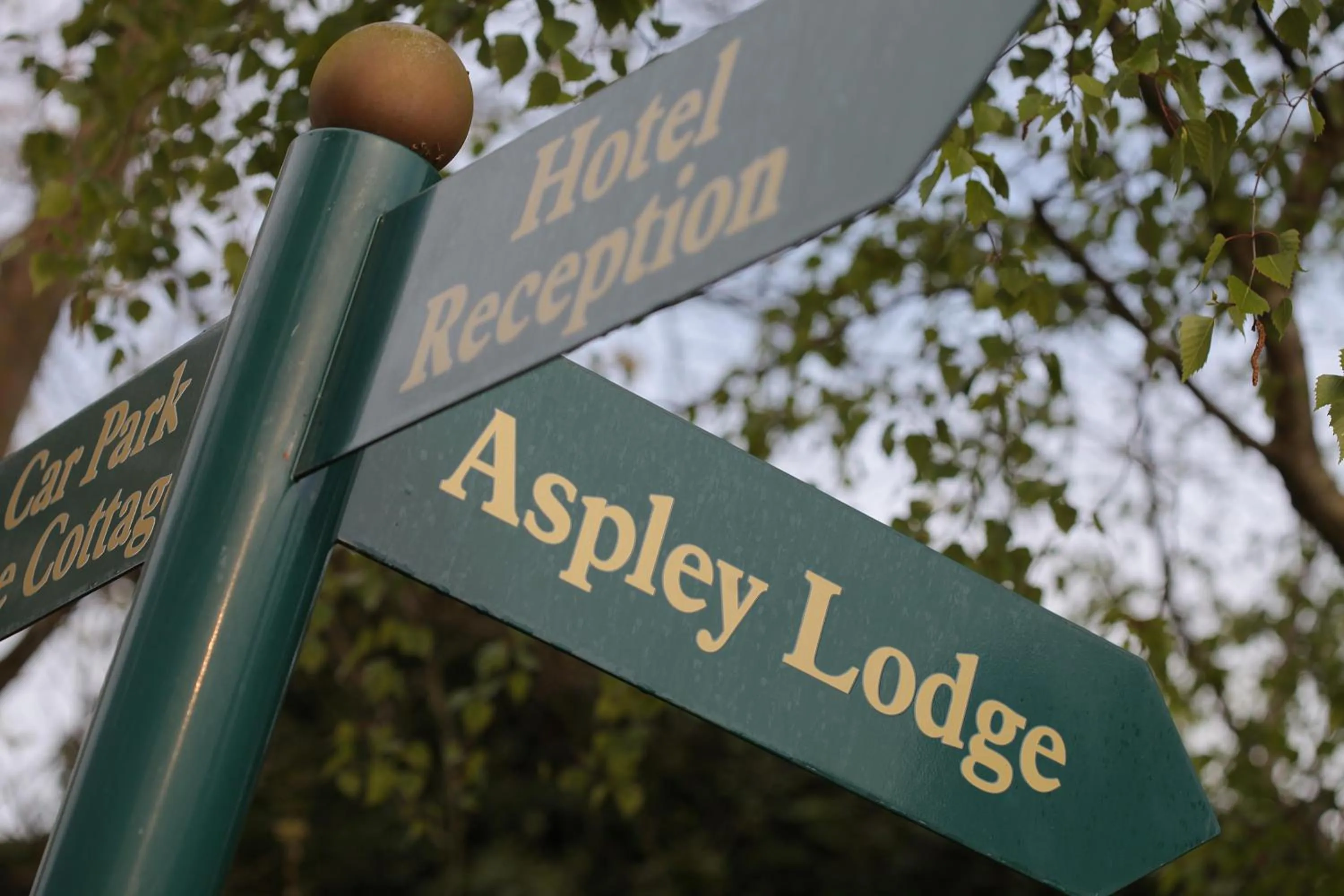 Decorative detail in Moore Place Hotel, BW Signature Collection