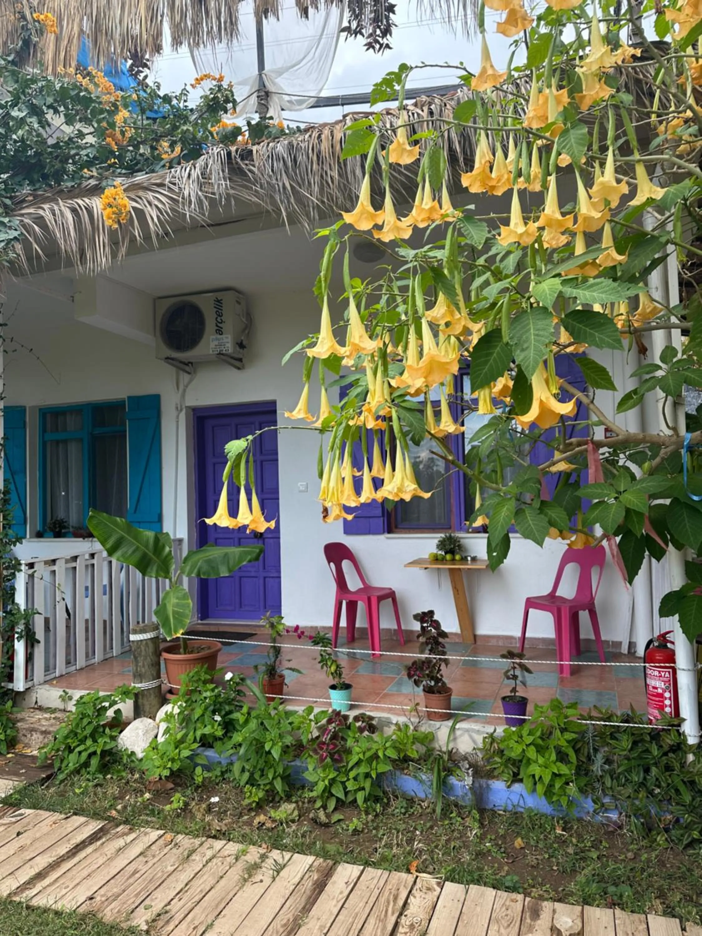 Property building in GAYA PANSİYON ÇIRALI